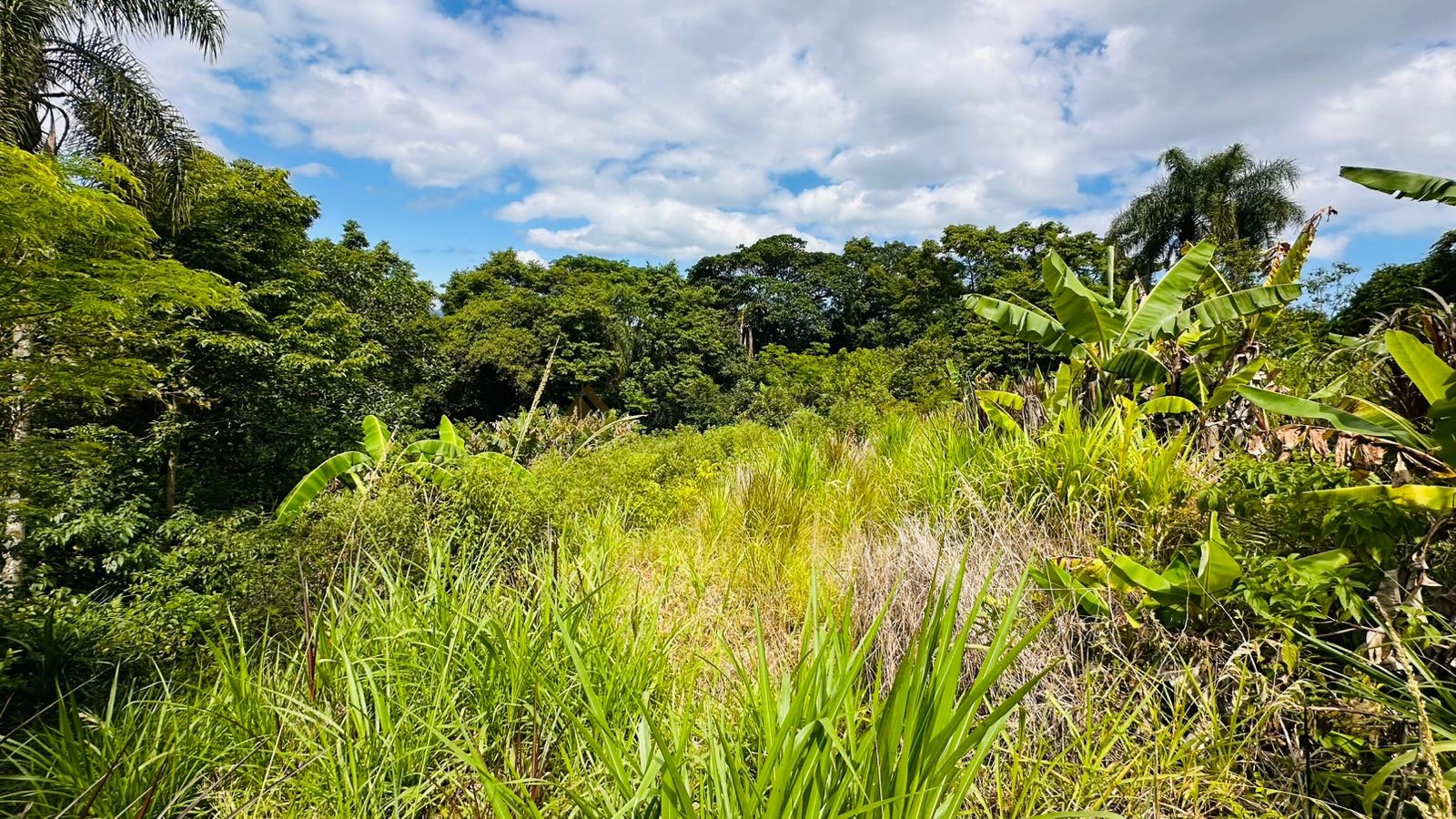 Fazenda à venda com 1 quarto, 61612m² - Foto 11