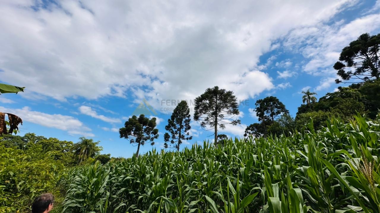 Fazenda à venda com 1 quarto, 61612m² - Foto 2