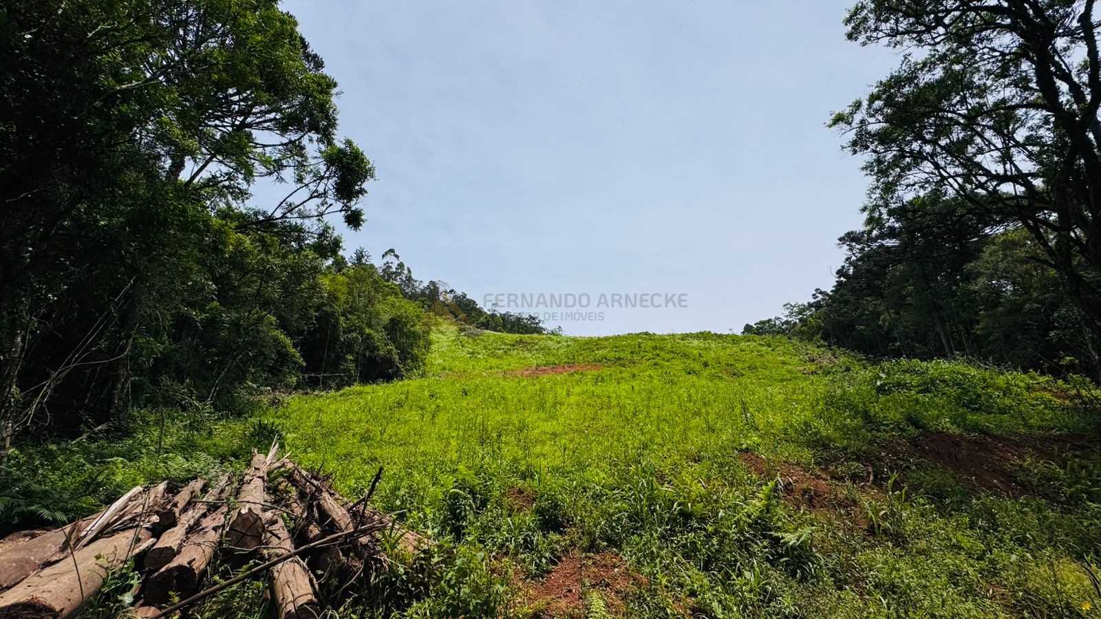 Fazenda à venda, 195000m² - Foto 10