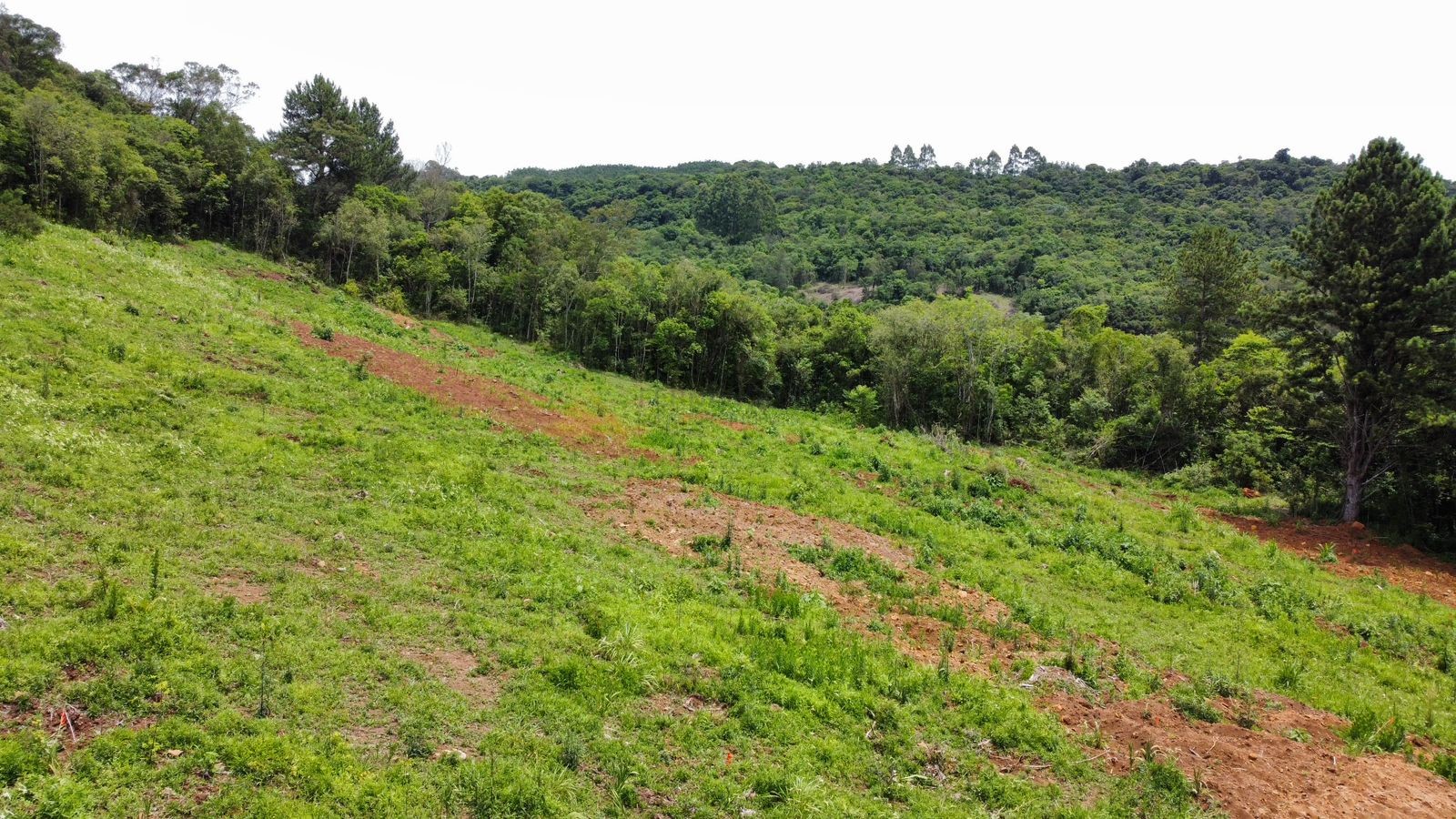 Fazenda à venda, 195000m² - Foto 17