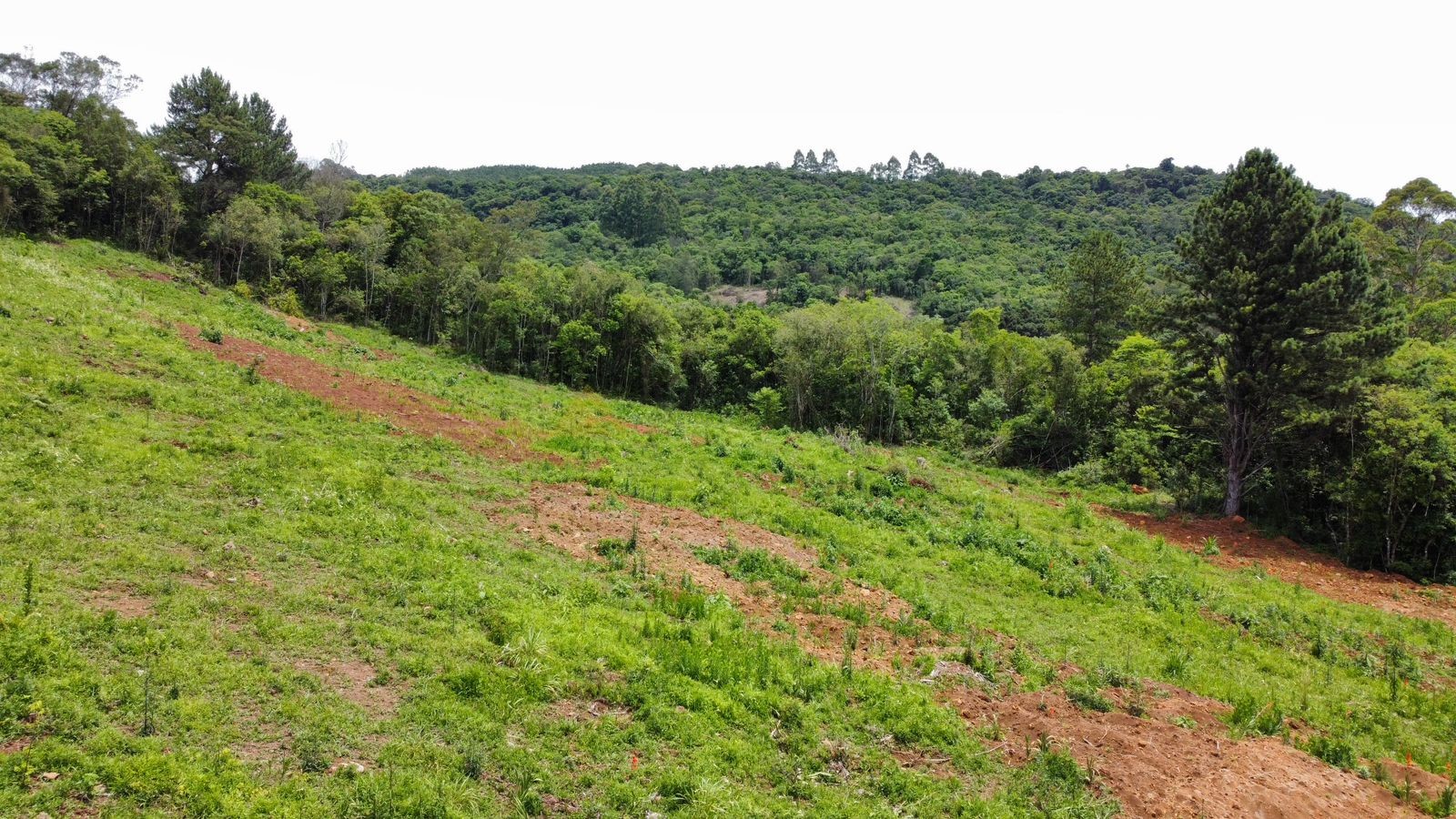 Fazenda à venda, 195000m² - Foto 18