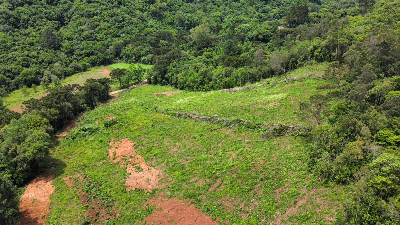 Fazenda à venda, 195000m² - Foto 19