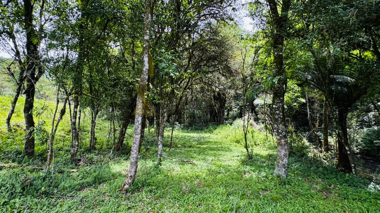 Fazenda à venda, 195000m² - Foto 2