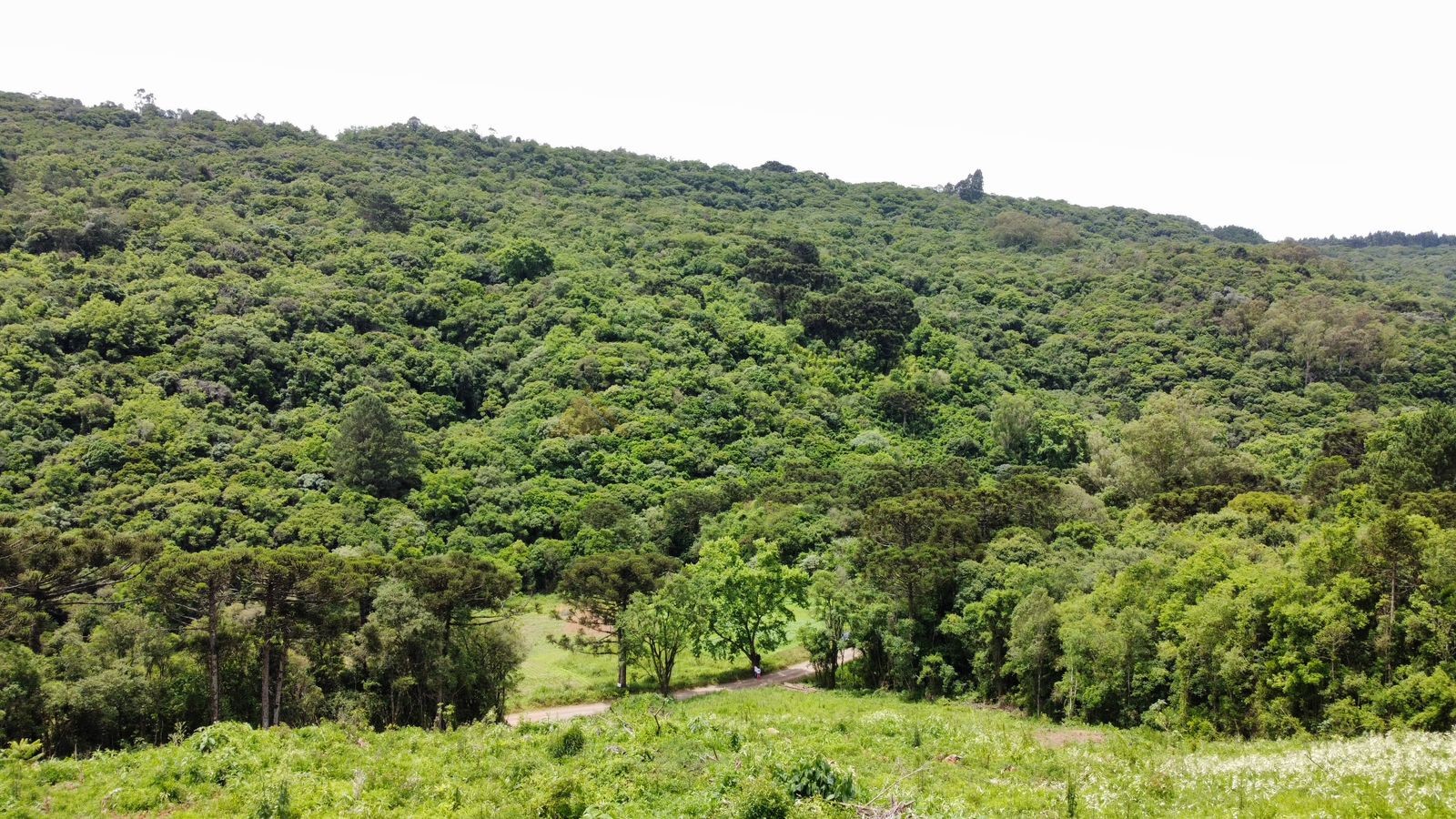 Fazenda à venda, 195000m² - Foto 20