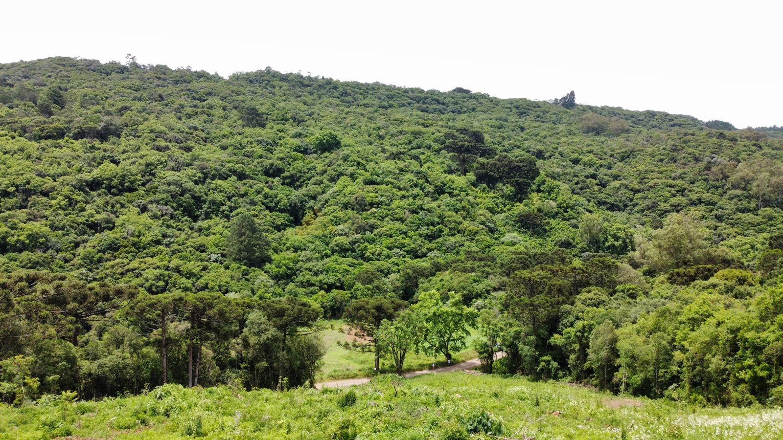 Fazenda à venda, 195000m² - Foto 22