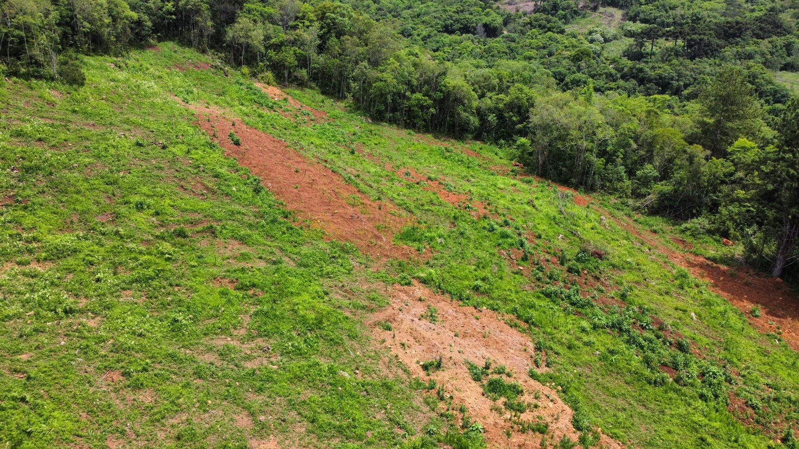 Fazenda à venda, 195000m² - Foto 23