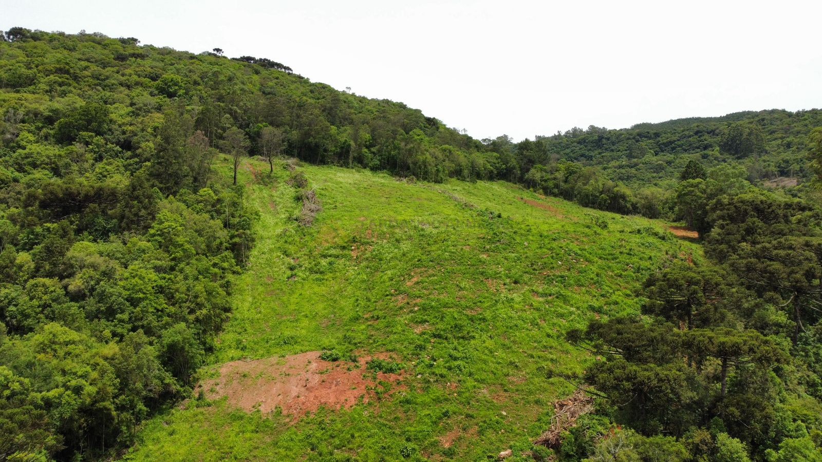 Fazenda à venda, 195000m² - Foto 24