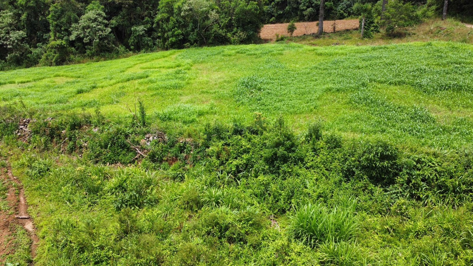 Fazenda à venda, 195000m² - Foto 25