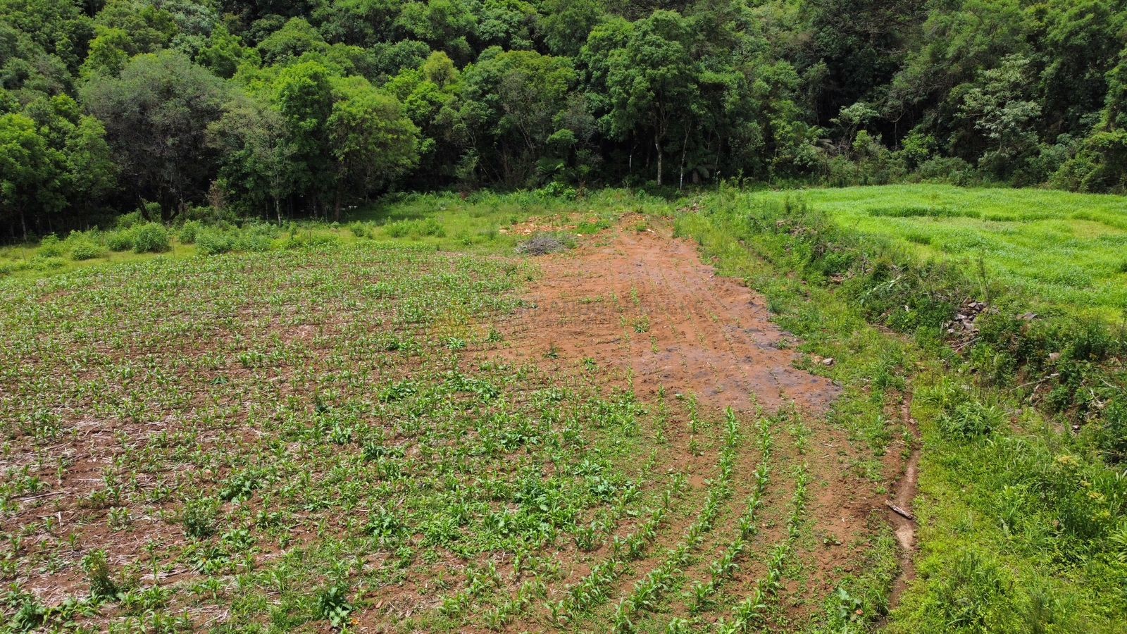 Fazenda à venda, 195000m² - Foto 26