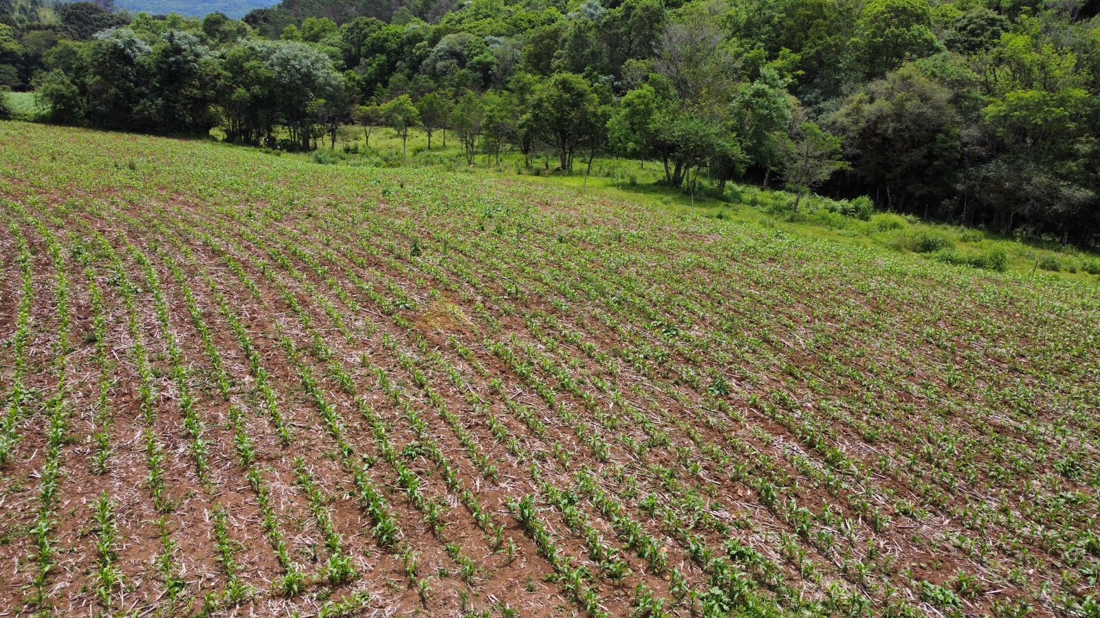 Fazenda à venda, 195000m² - Foto 27