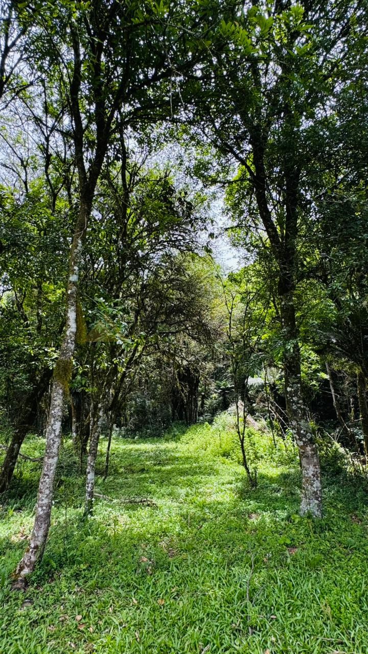 Fazenda à venda, 195000m² - Foto 28