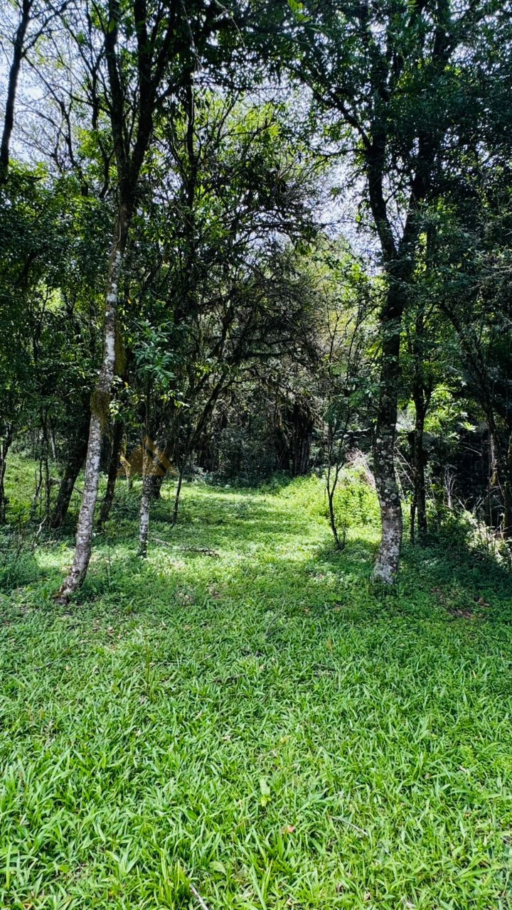 Fazenda à venda, 195000m² - Foto 29