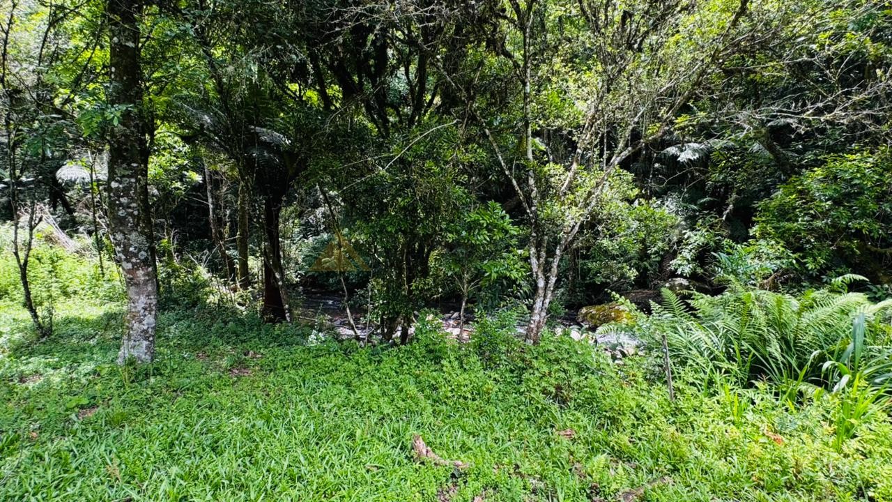 Fazenda à venda, 195000m² - Foto 3