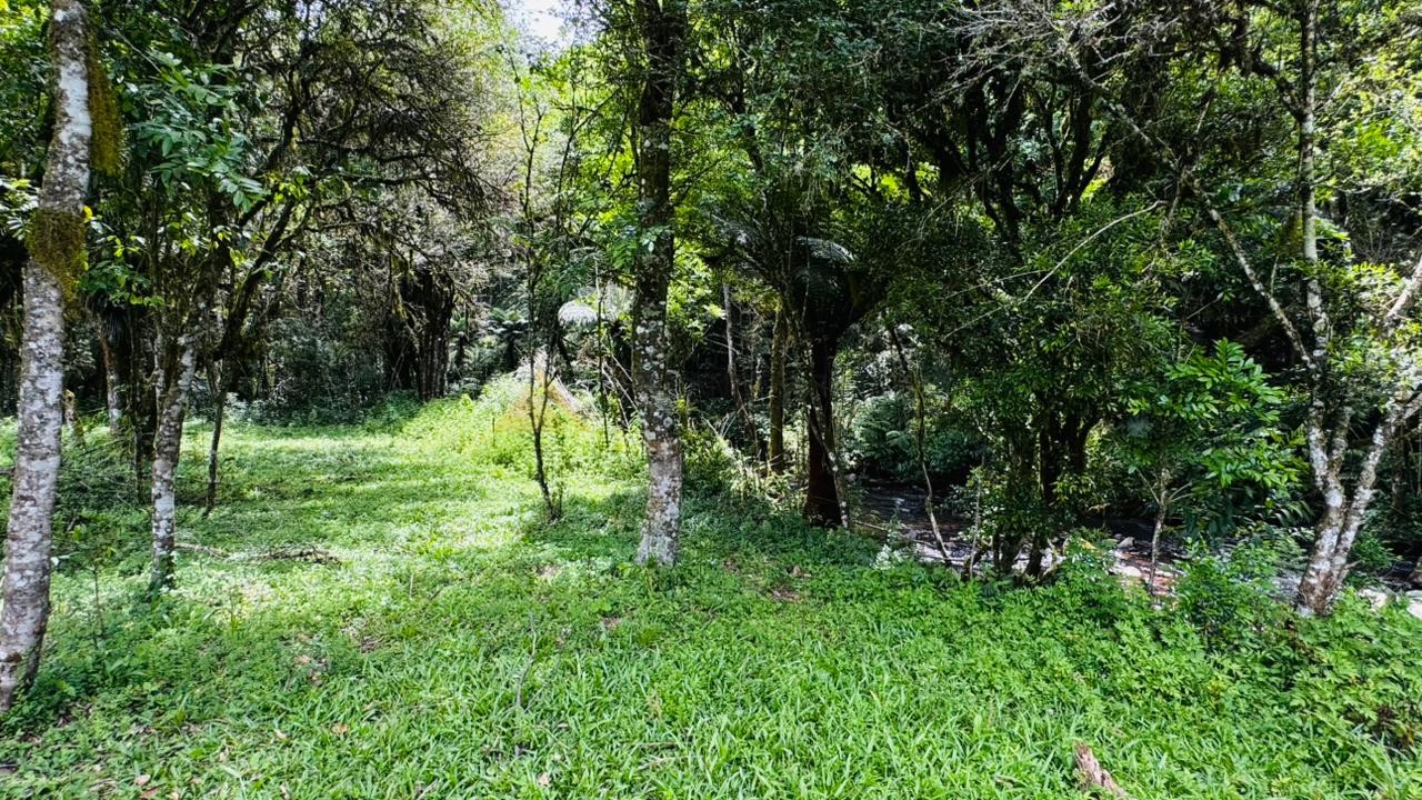 Fazenda à venda, 195000m² - Foto 4