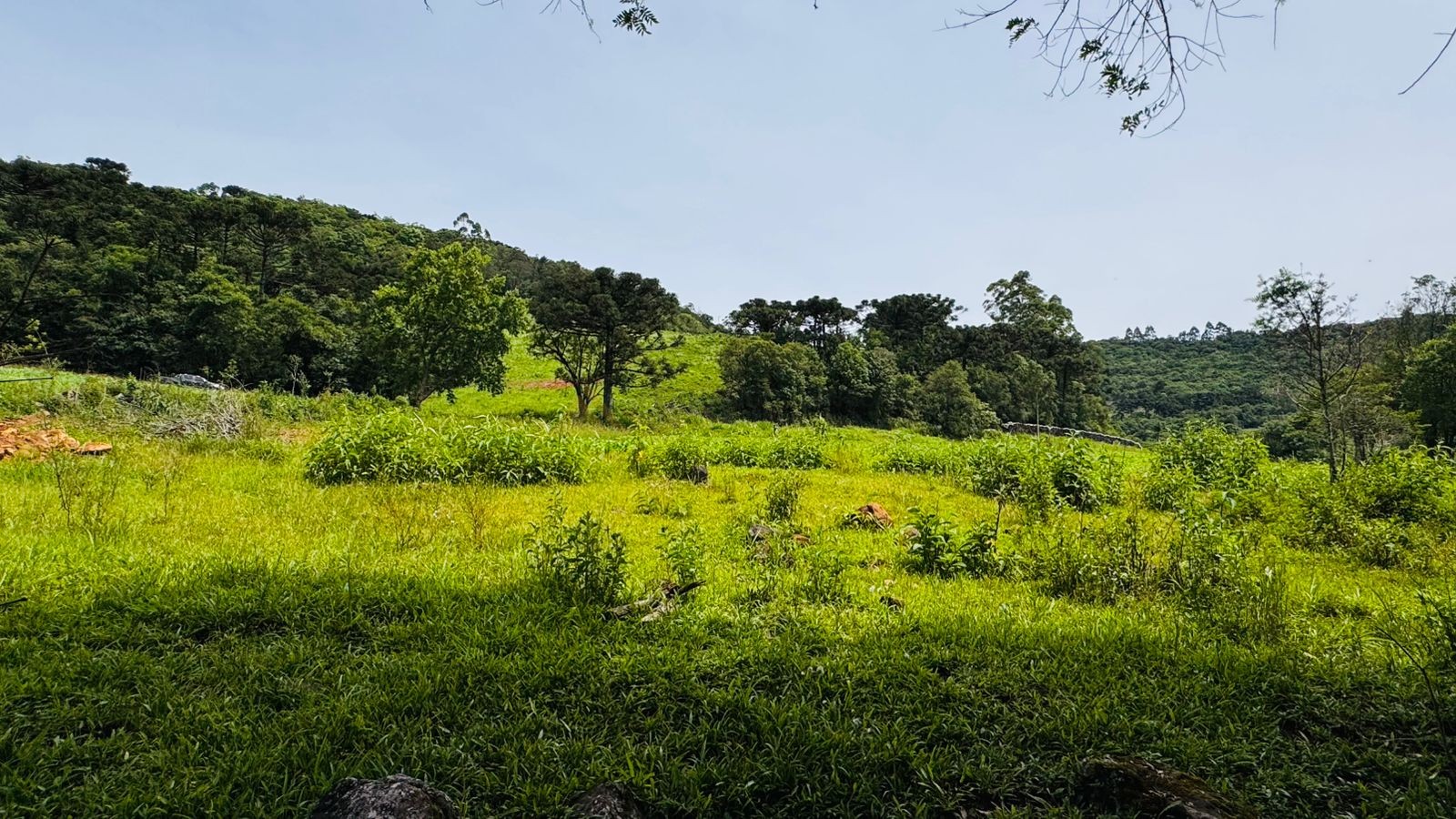 Fazenda à venda, 195000m² - Foto 5