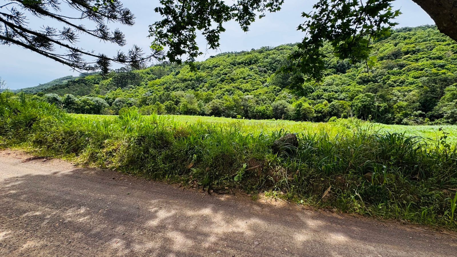 Fazenda à venda, 195000m² - Foto 7