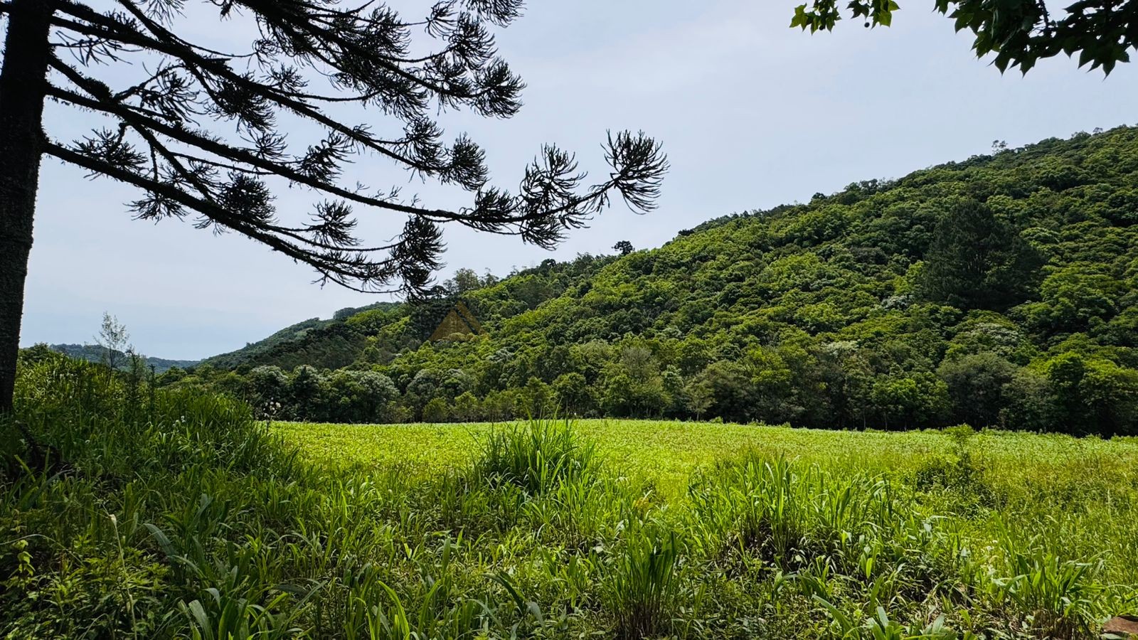 Fazenda à venda, 195000m² - Foto 8