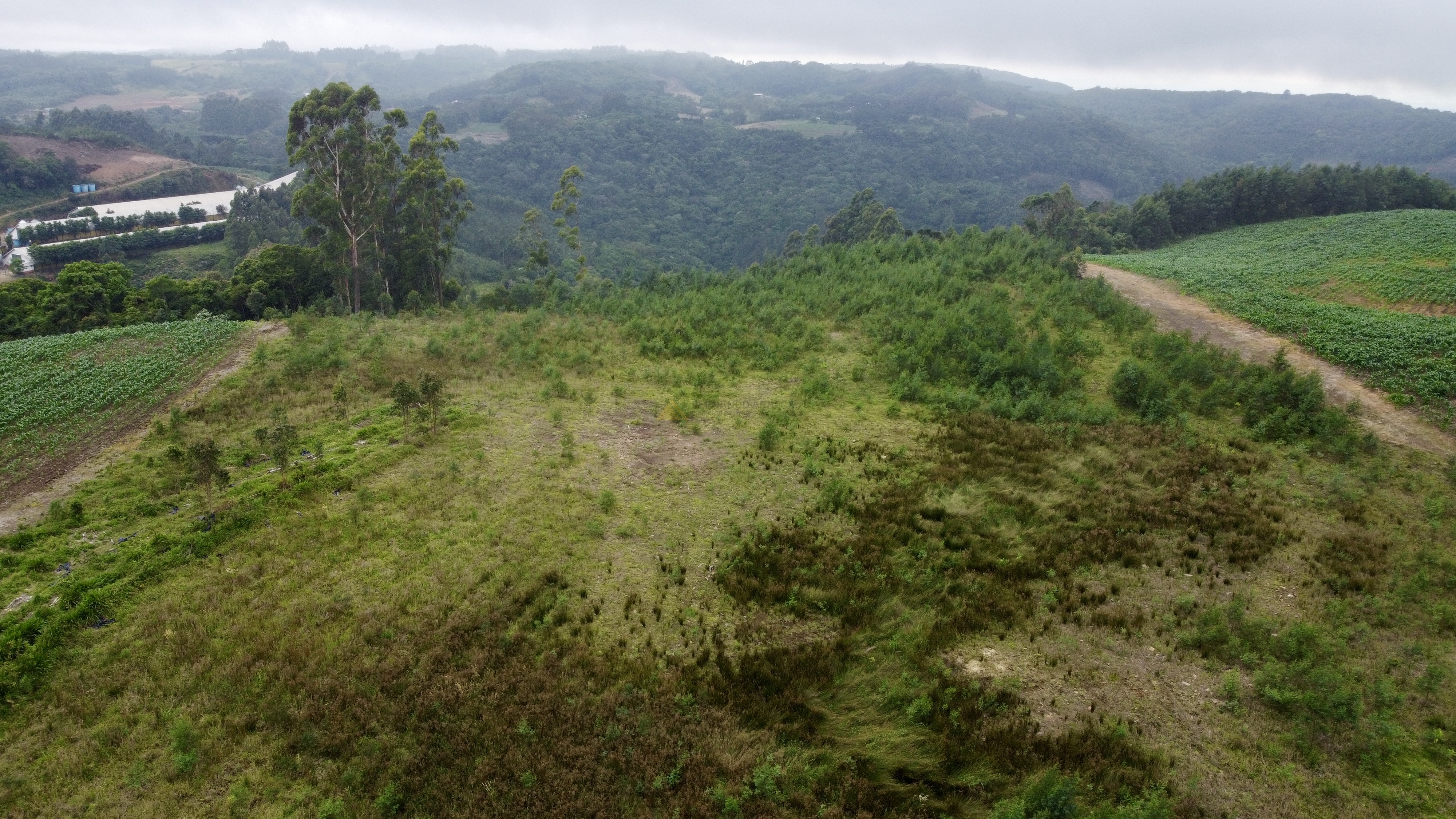 Fazenda à venda, 60000m² - Foto 1