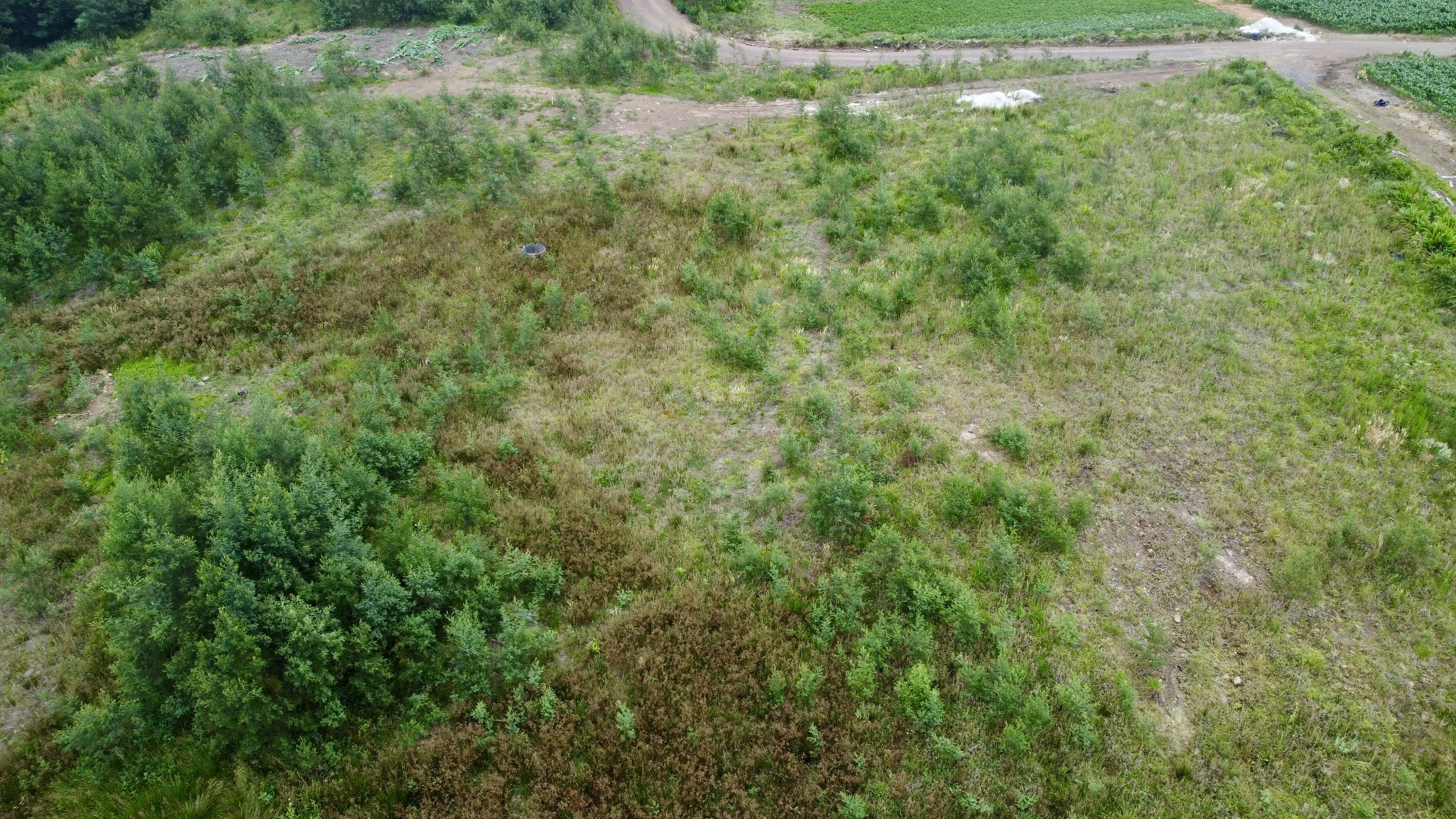 Fazenda à venda, 60000m² - Foto 11