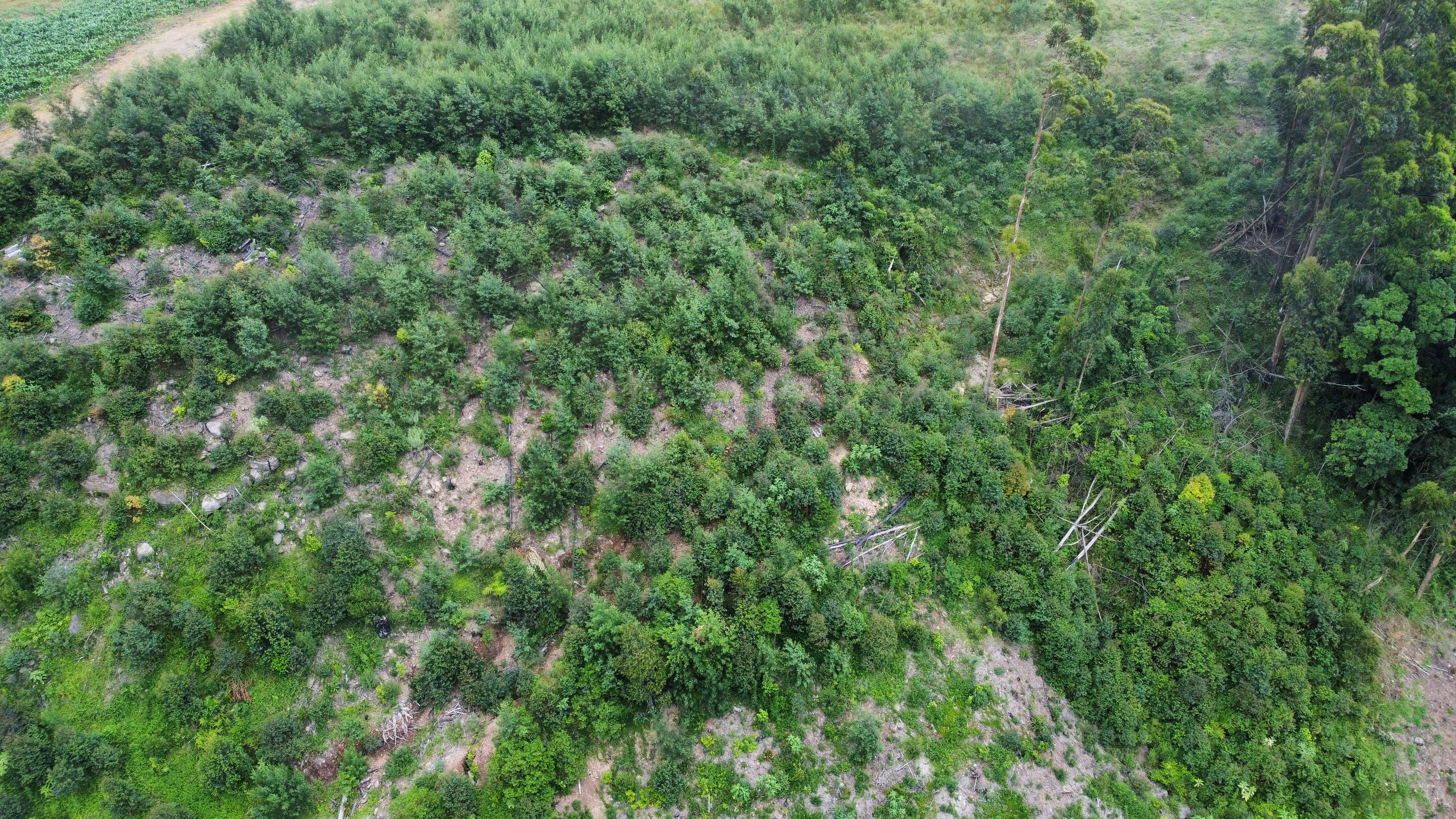 Fazenda à venda, 60000m² - Foto 12