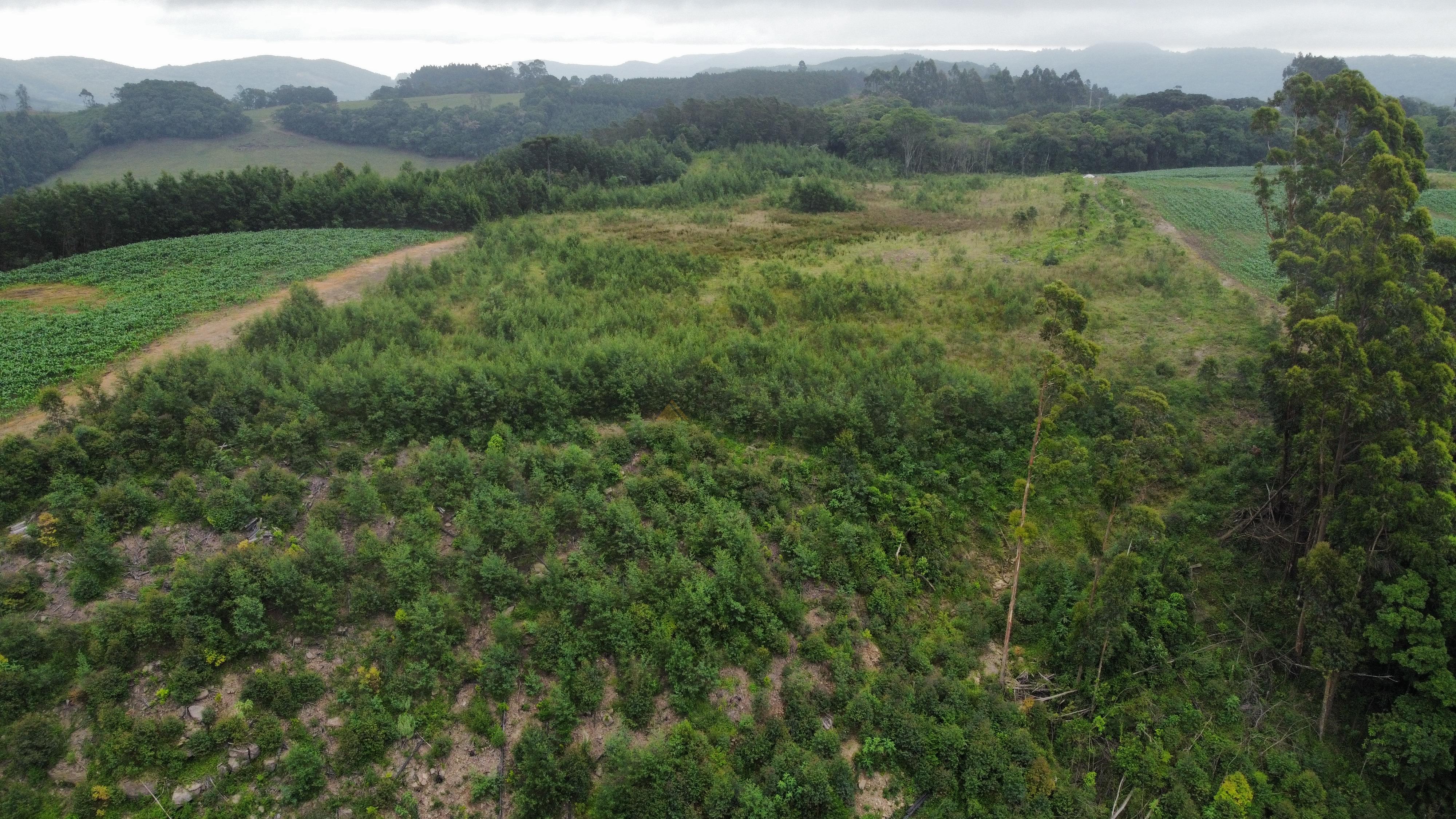 Fazenda à venda, 60000m² - Foto 13