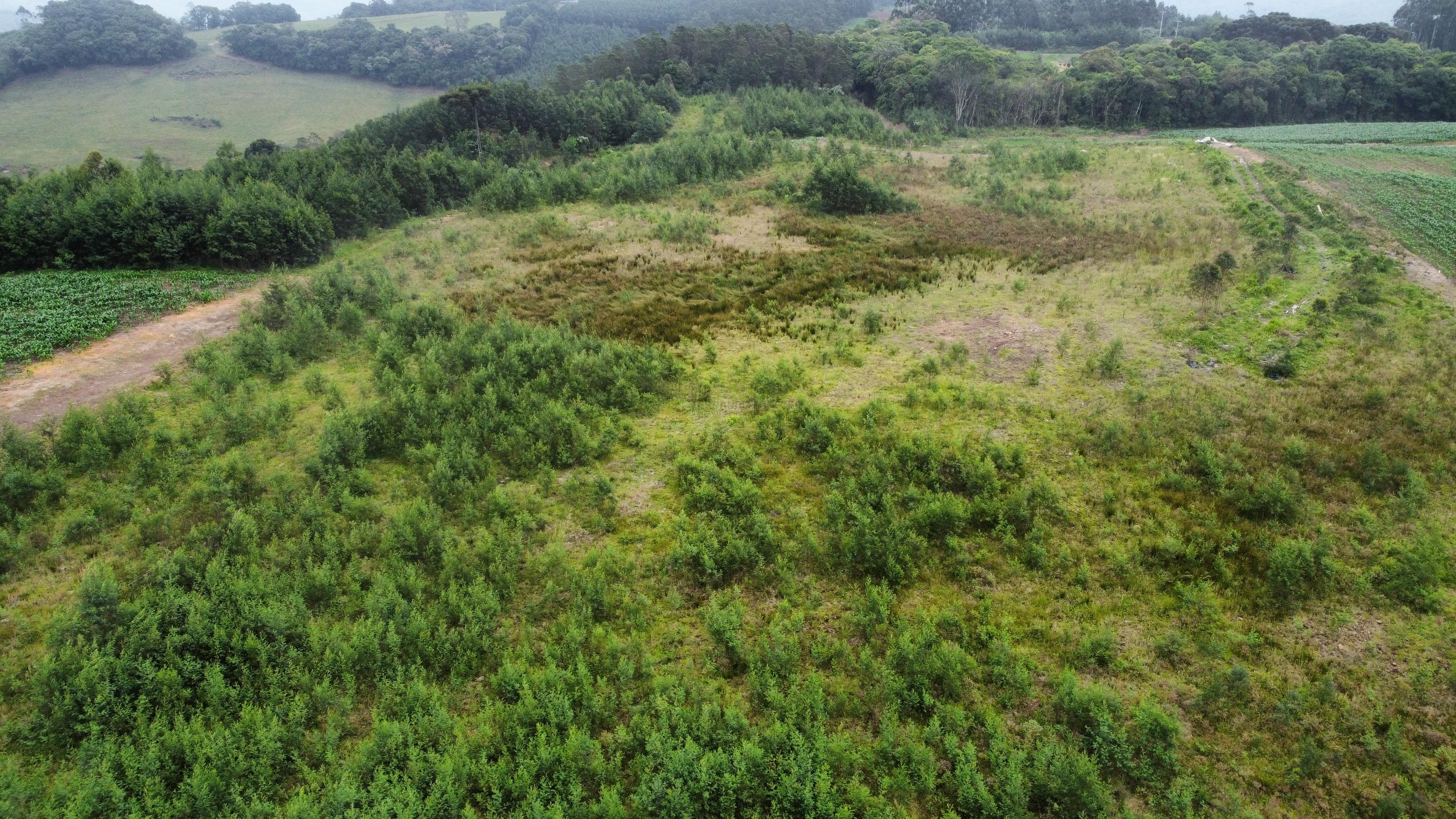 Fazenda à venda, 60000m² - Foto 14