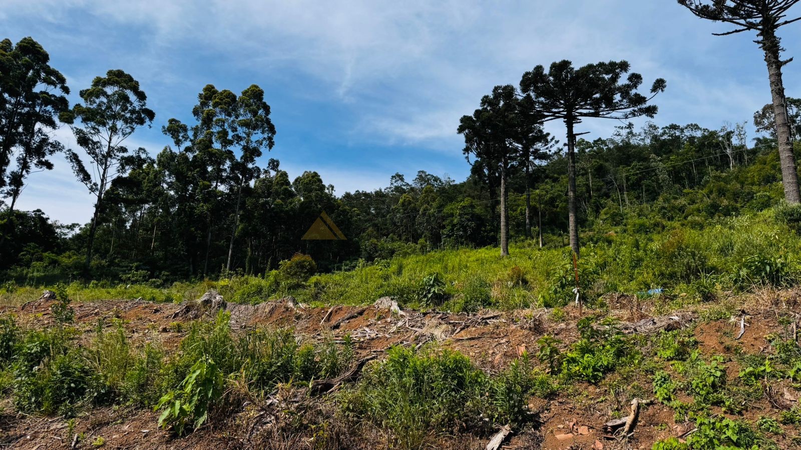 Fazenda à venda, 60000m² - Foto 15