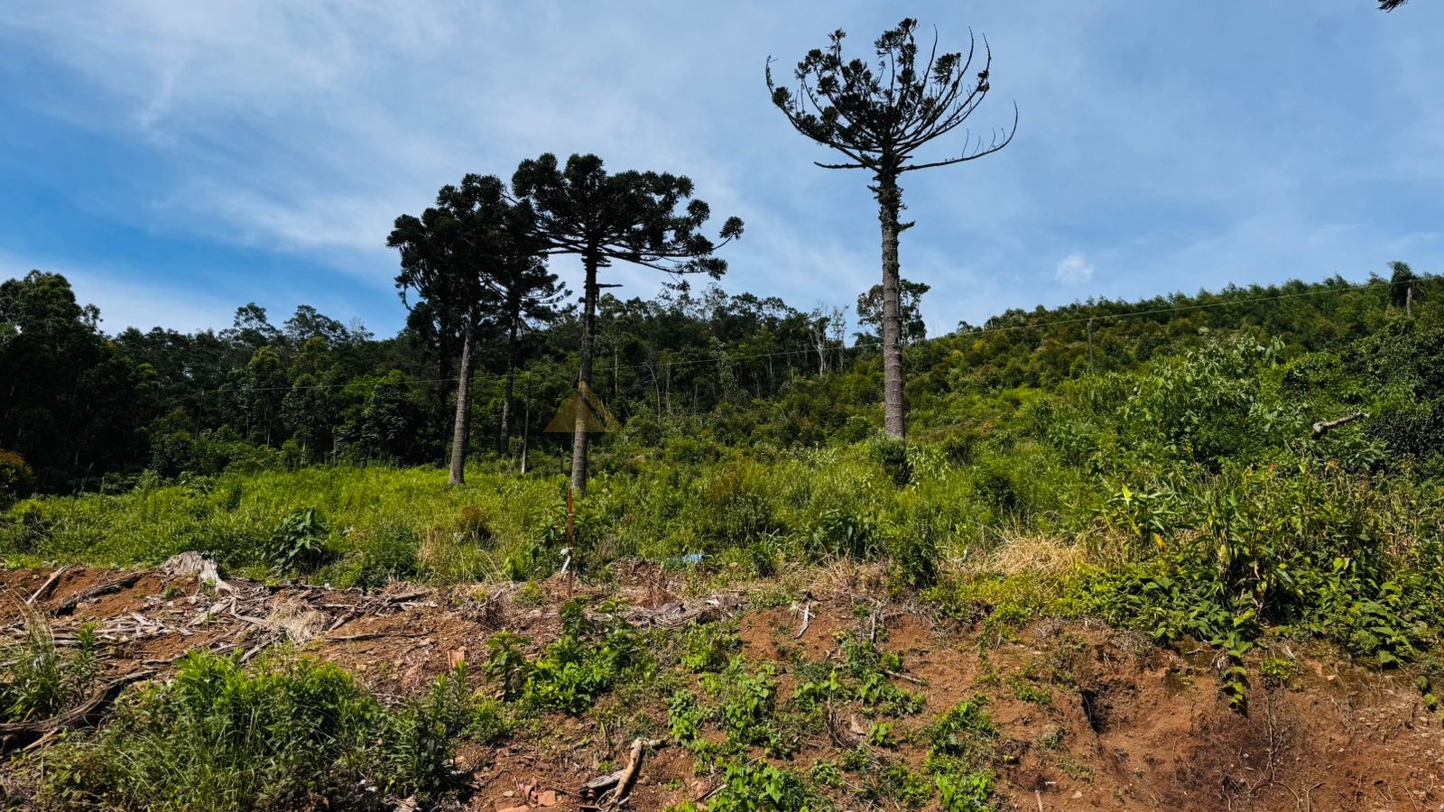 Fazenda à venda, 60000m² - Foto 16