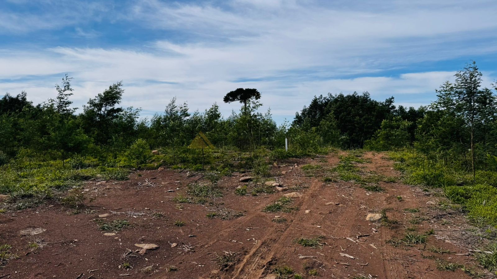 Fazenda à venda, 60000m² - Foto 18