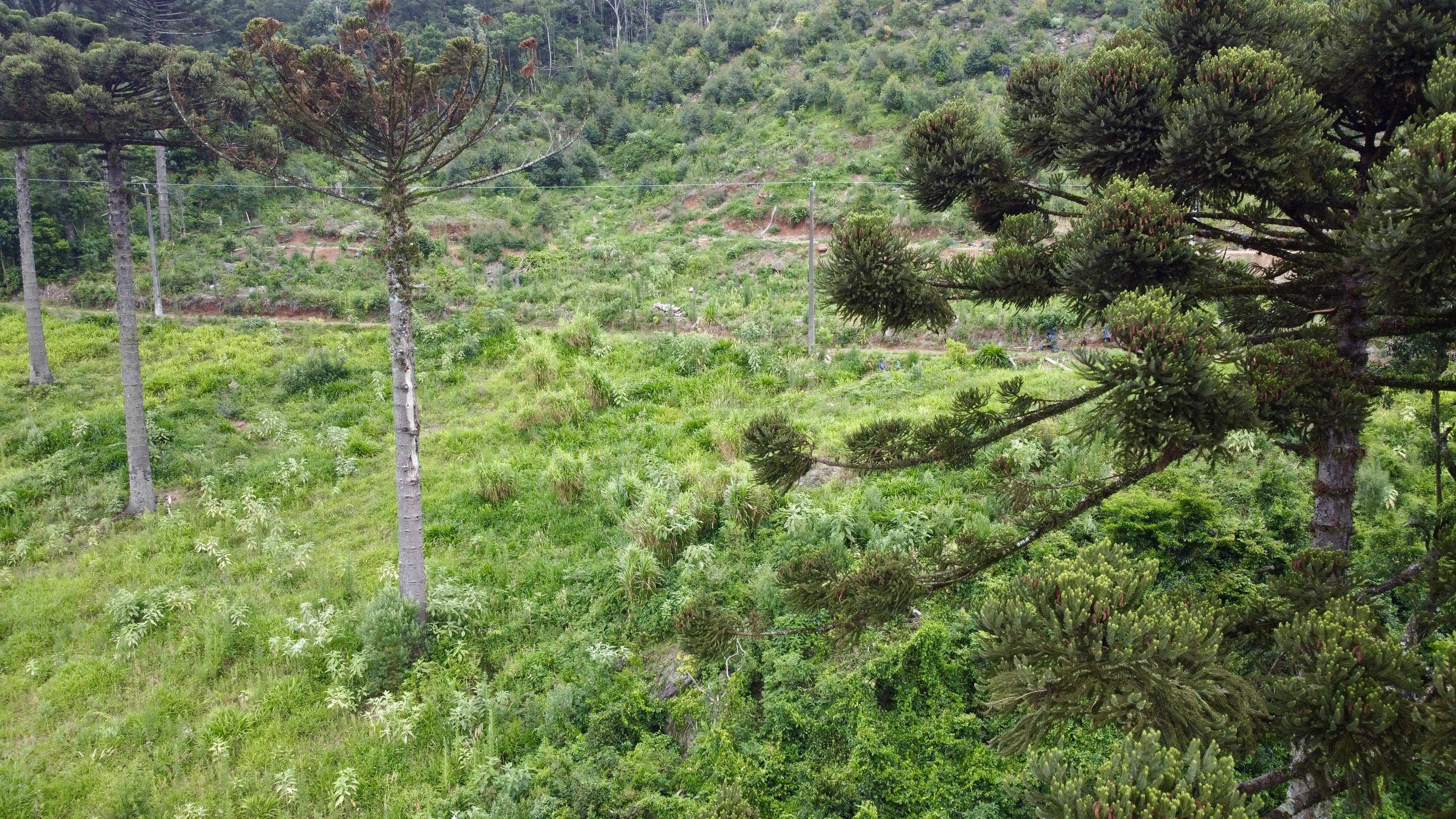 Fazenda à venda, 60000m² - Foto 2