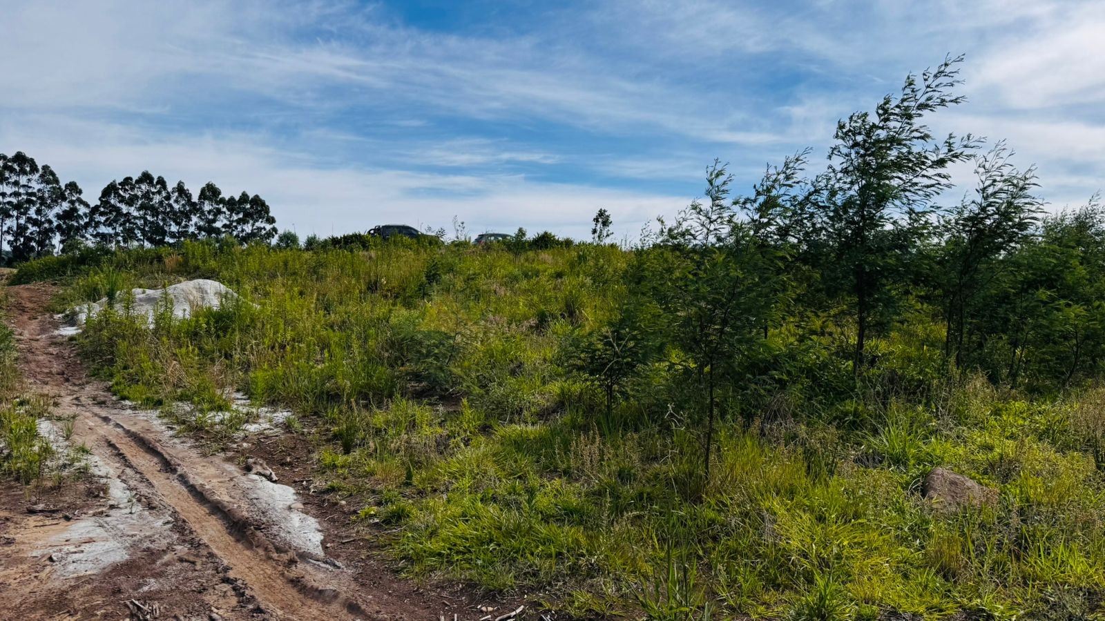 Fazenda à venda, 60000m² - Foto 20