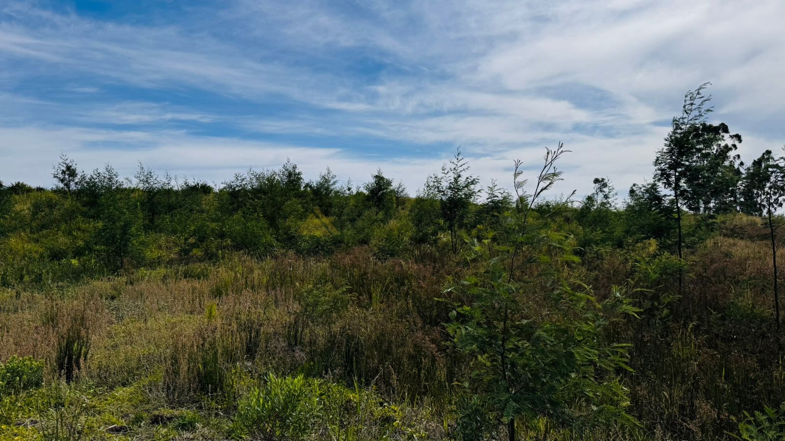 Fazenda à venda, 60000m² - Foto 23