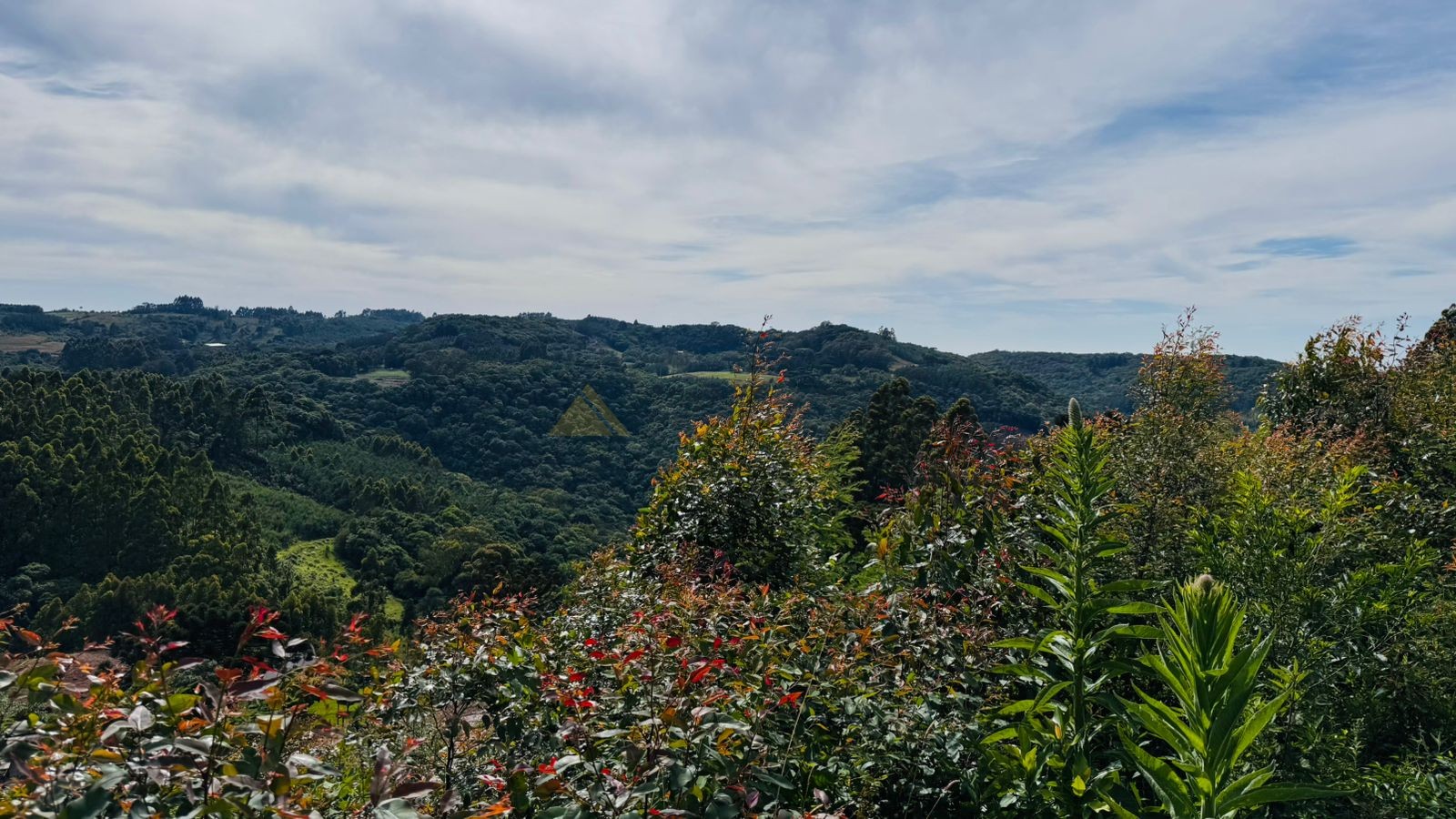 Fazenda à venda, 60000m² - Foto 24