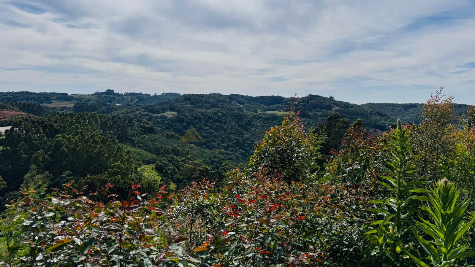 Fazenda à venda, 60000m² - Foto 25