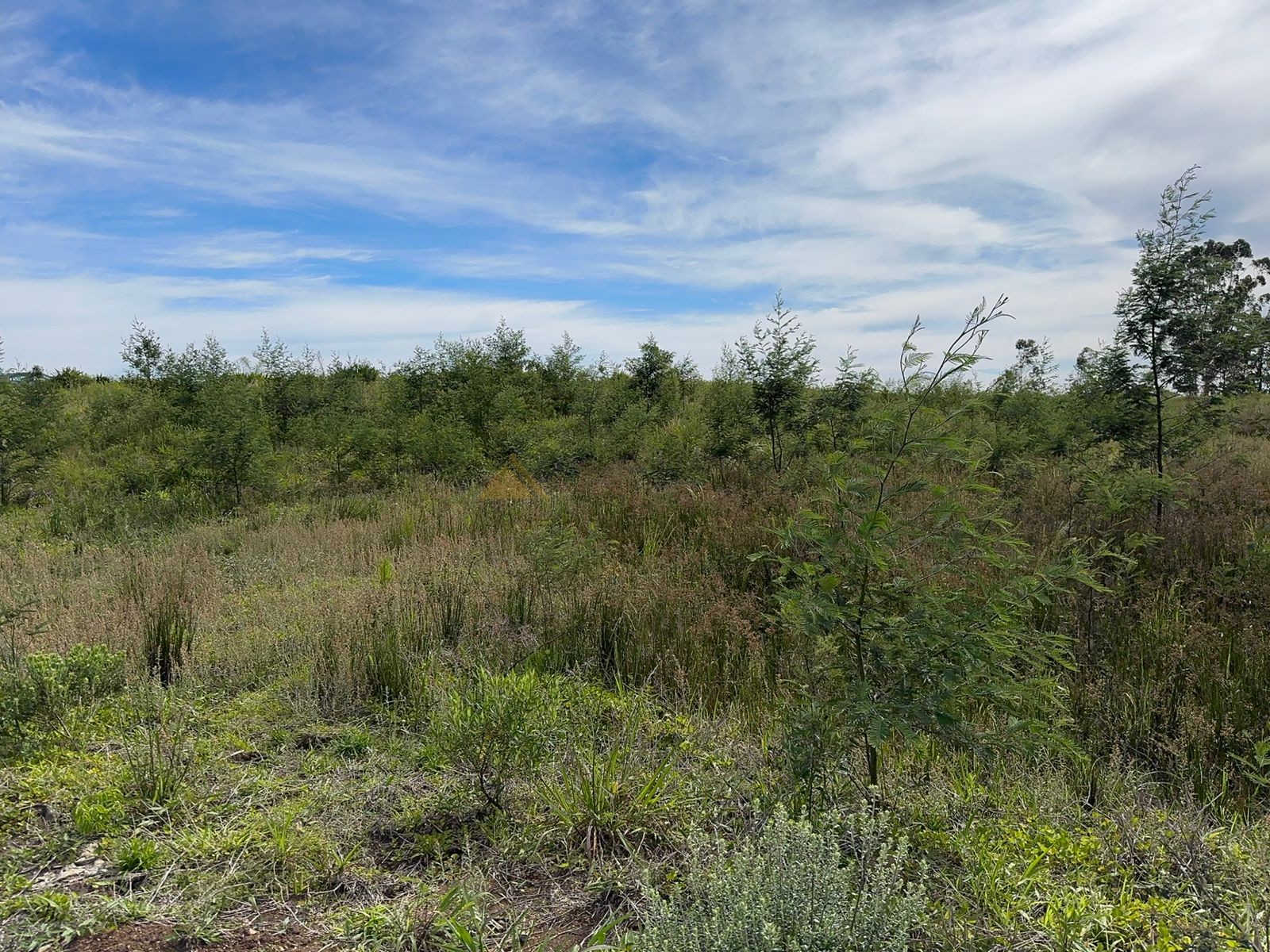 Fazenda à venda, 60000m² - Foto 26