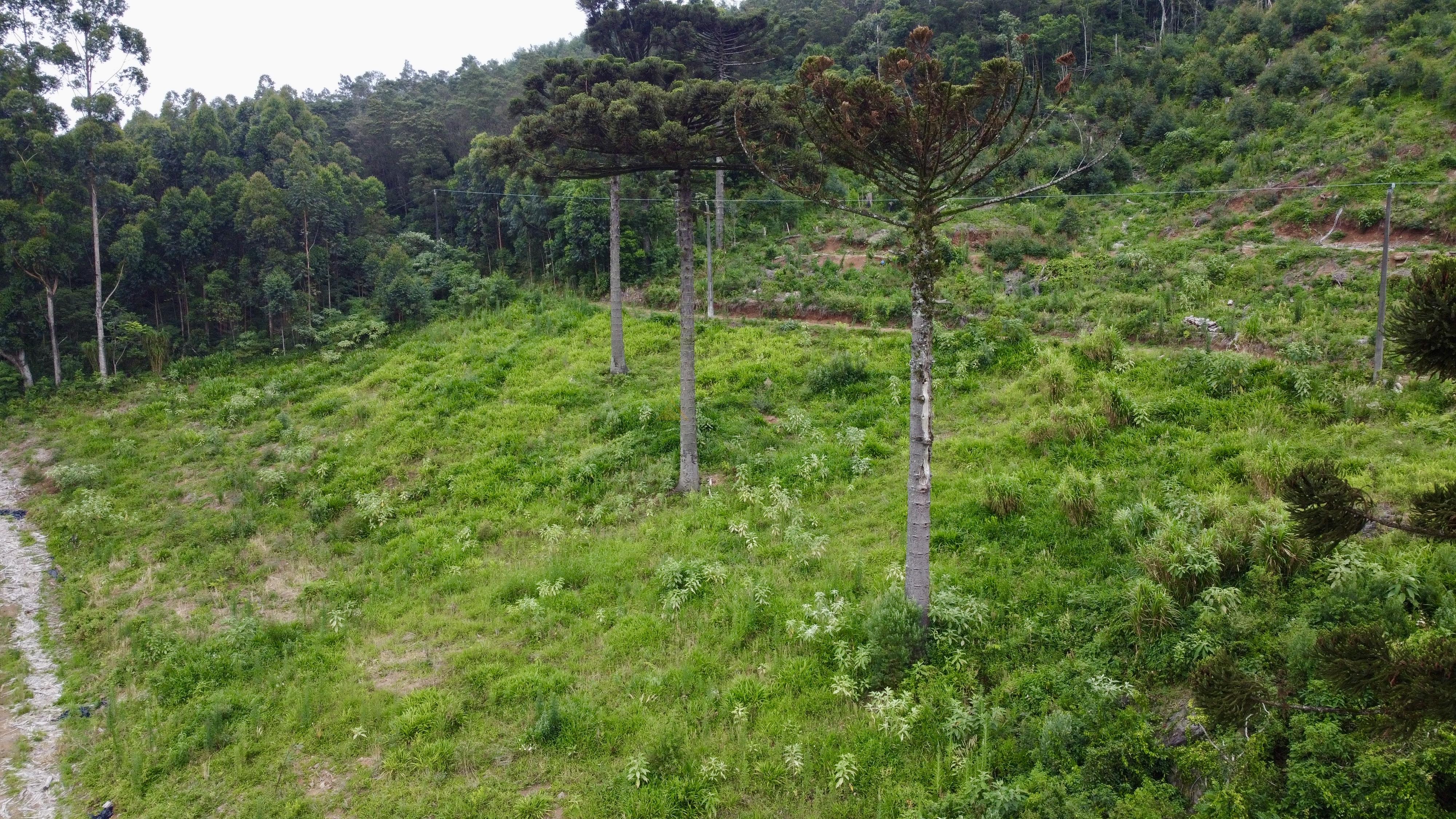 Fazenda à venda, 60000m² - Foto 3