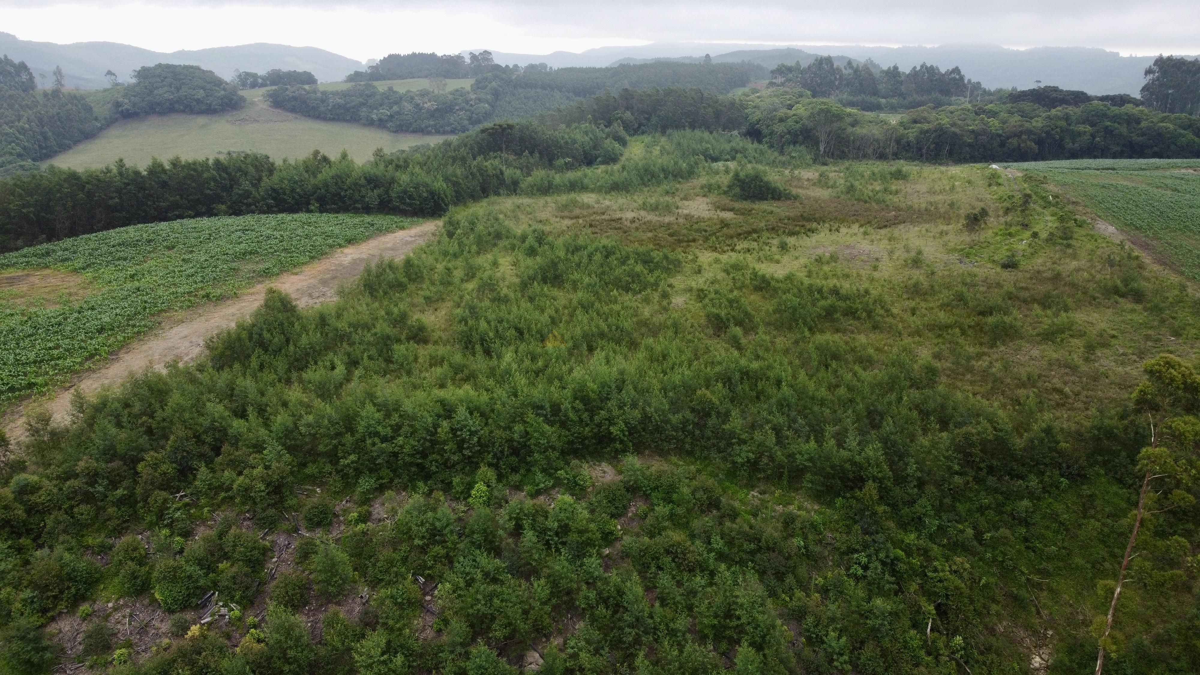 Fazenda à venda, 60000m² - Foto 4