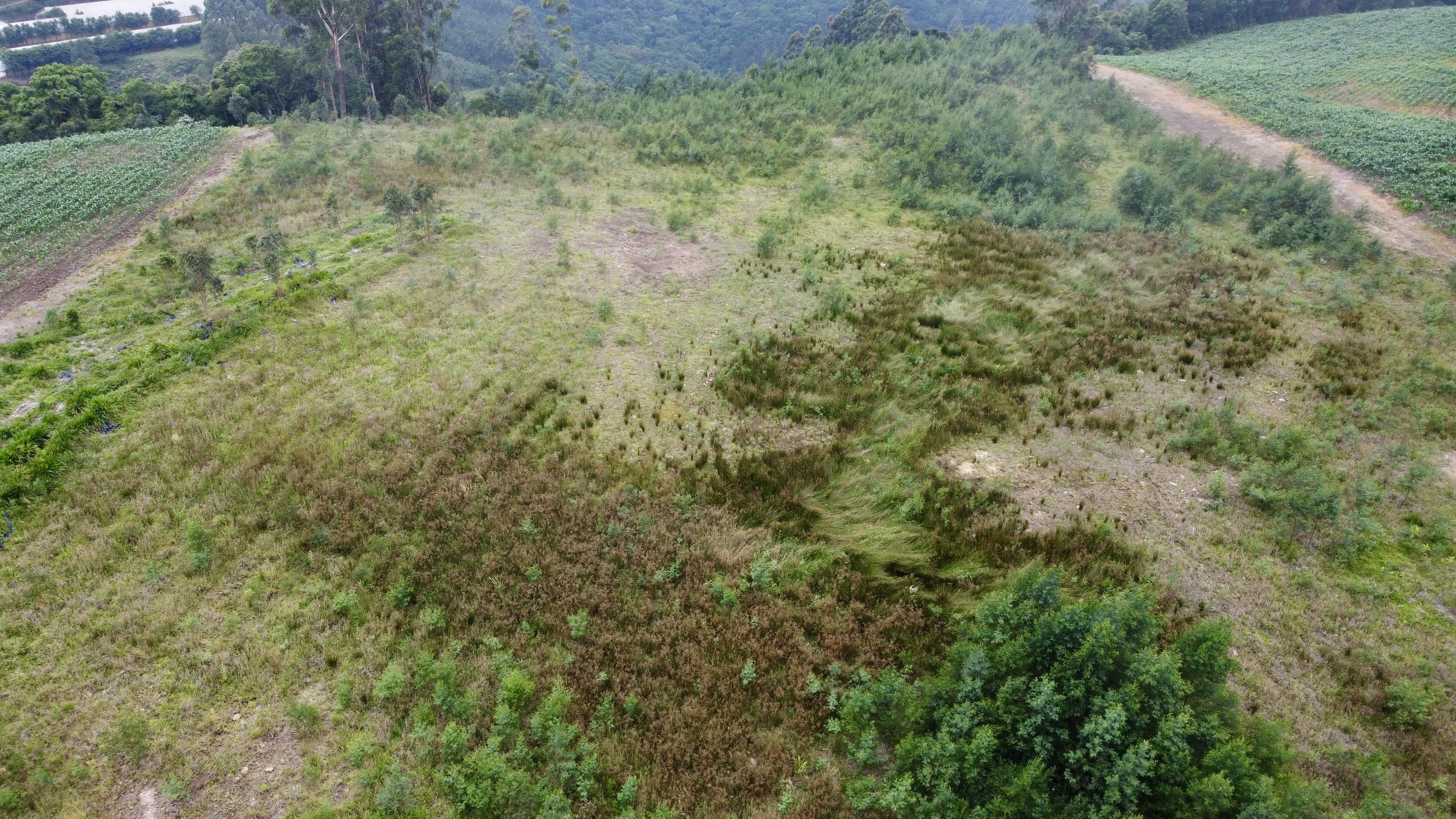 Fazenda à venda, 60000m² - Foto 6