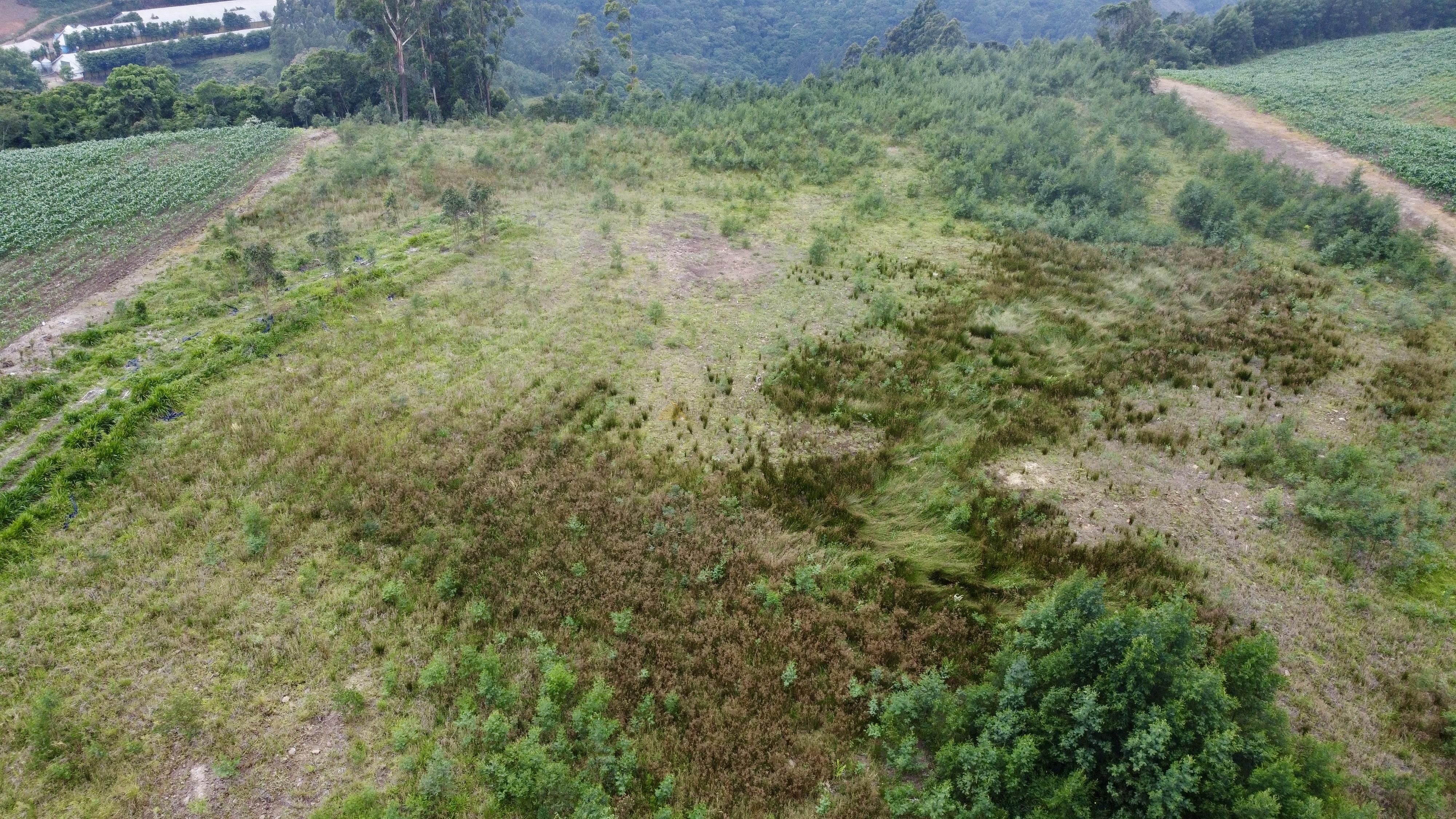 Fazenda à venda, 60000m² - Foto 7