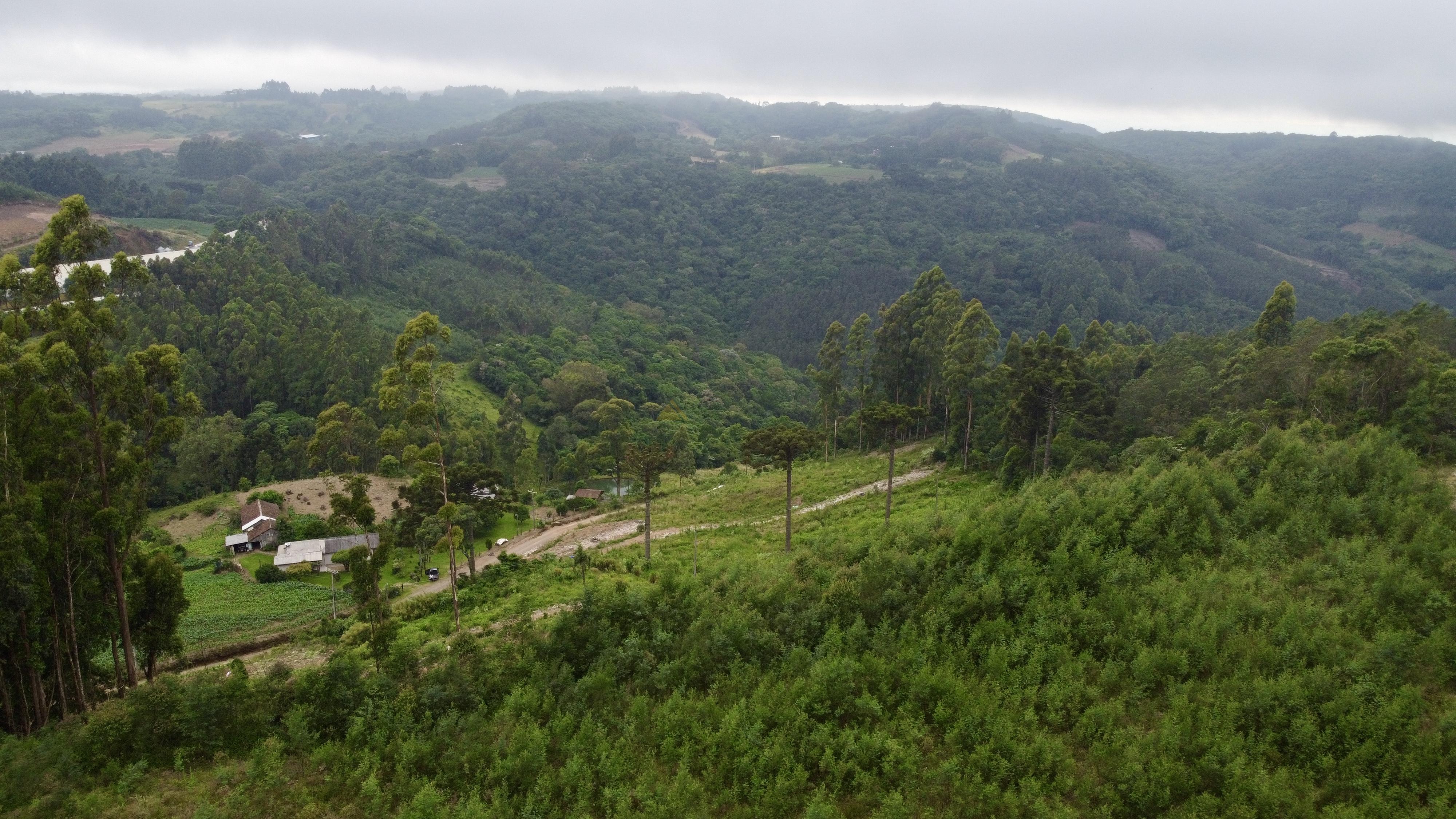 Fazenda à venda, 60000m² - Foto 9