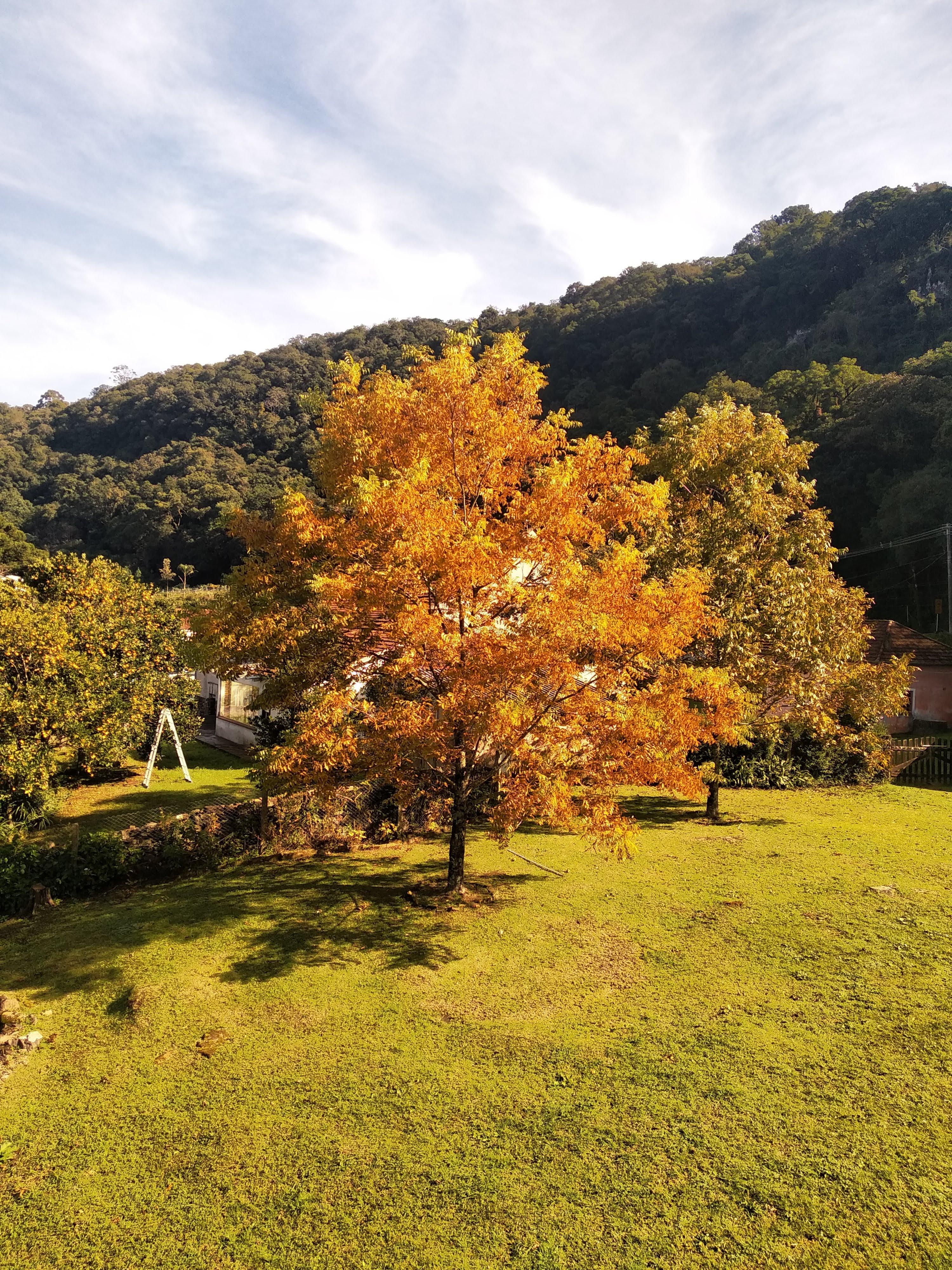 Fazenda à venda com 3 quartos, 790m² - Foto 16