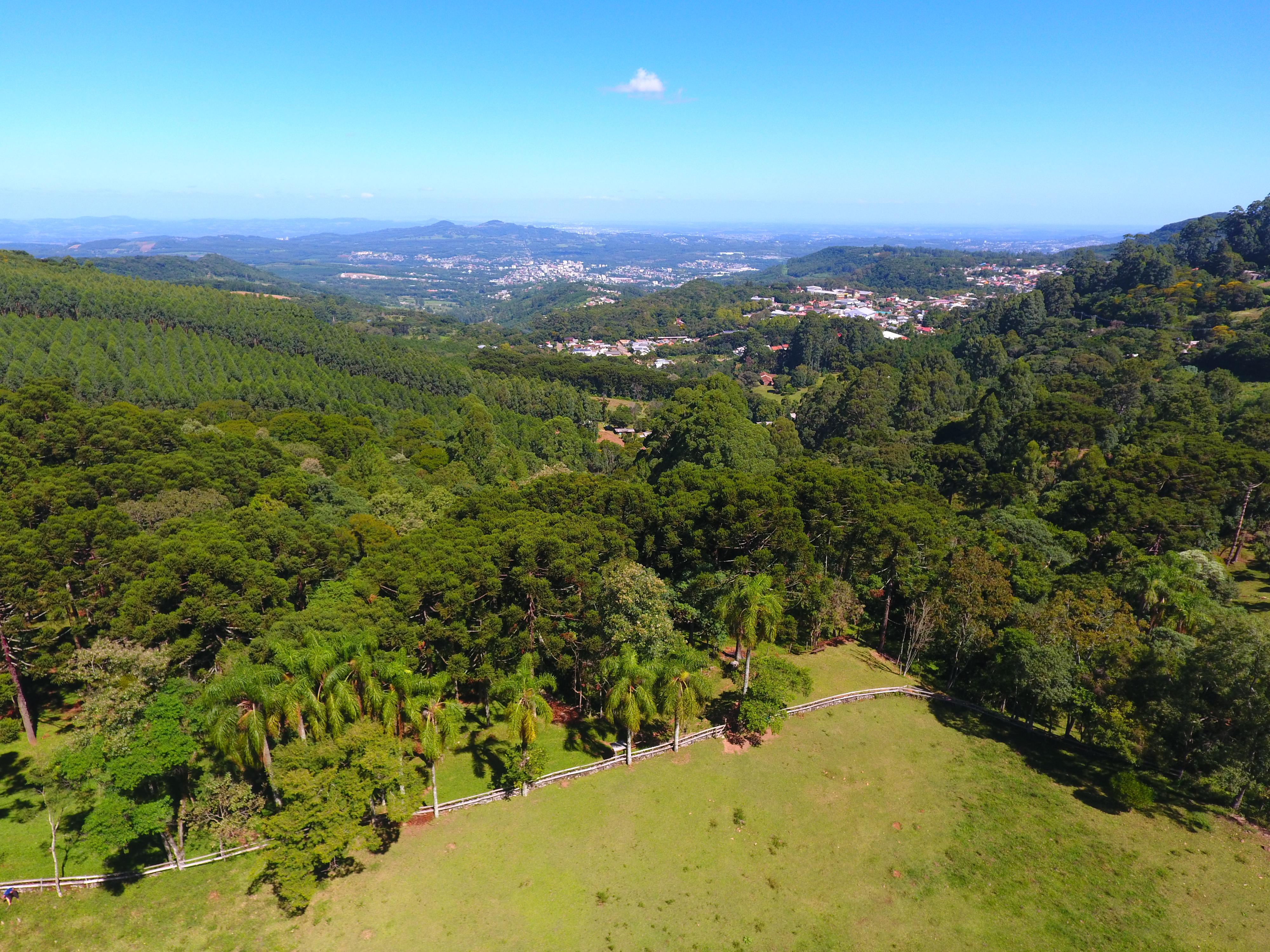 Fazenda à venda com 3 quartos, 790m² - Foto 6