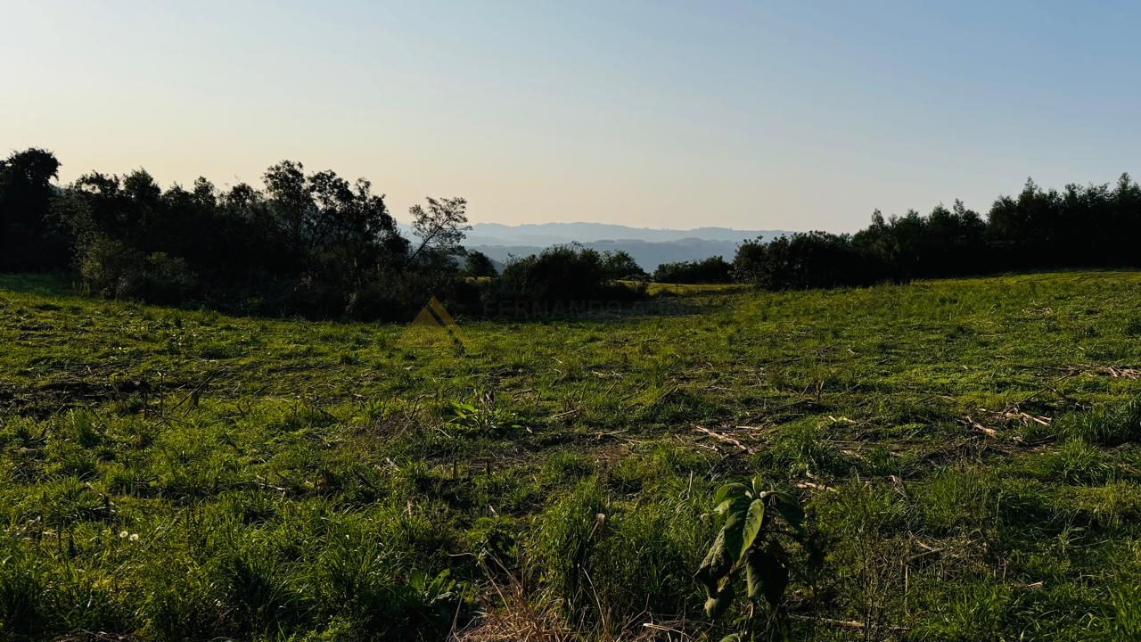 Fazenda à venda, 10000m² - Foto 1