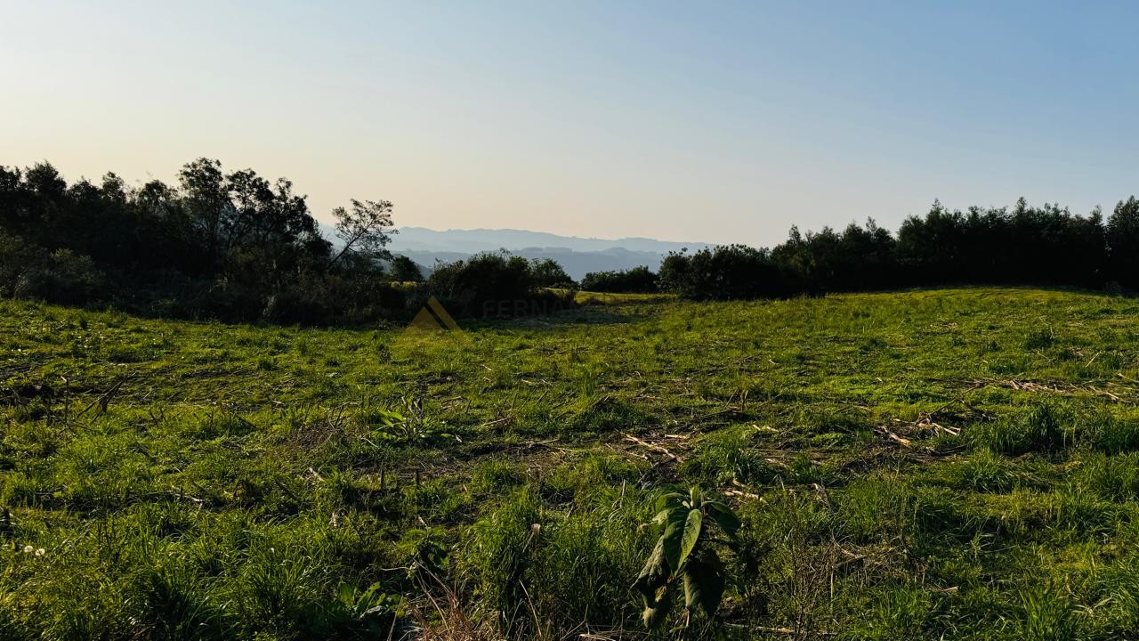 Fazenda à venda, 10000m² - Foto 11