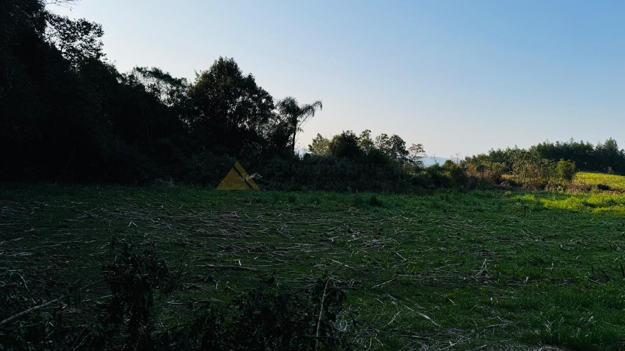 Fazenda à venda, 10000m² - Foto 12