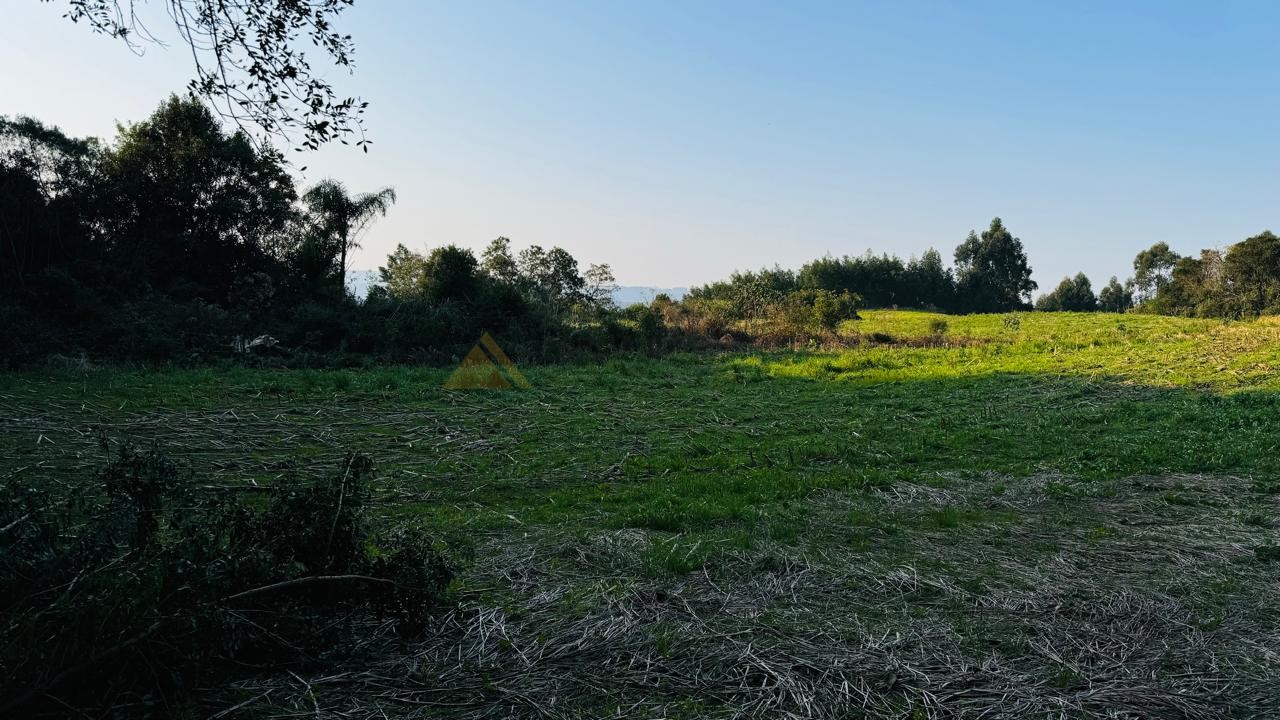 Fazenda à venda, 10000m² - Foto 14