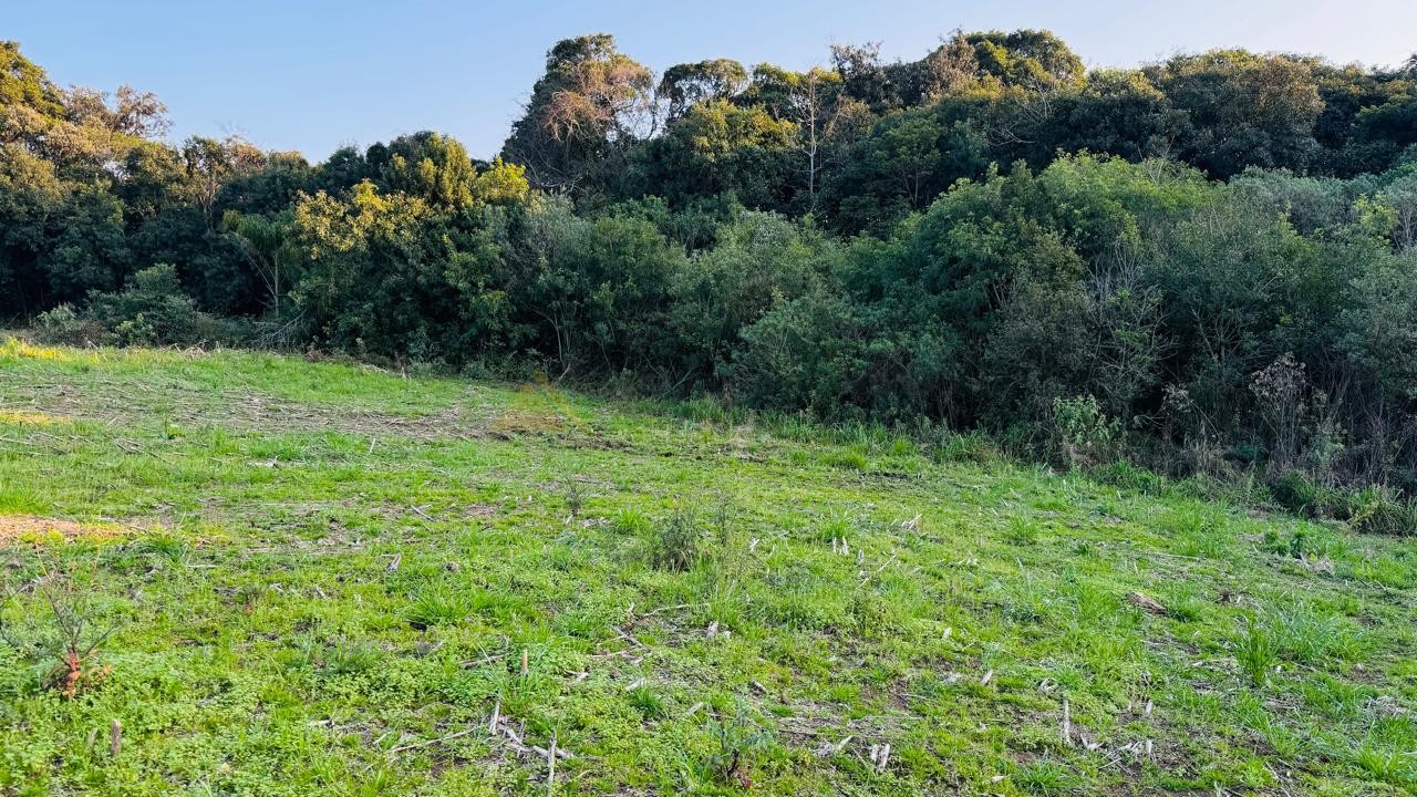 Fazenda à venda, 10000m² - Foto 2