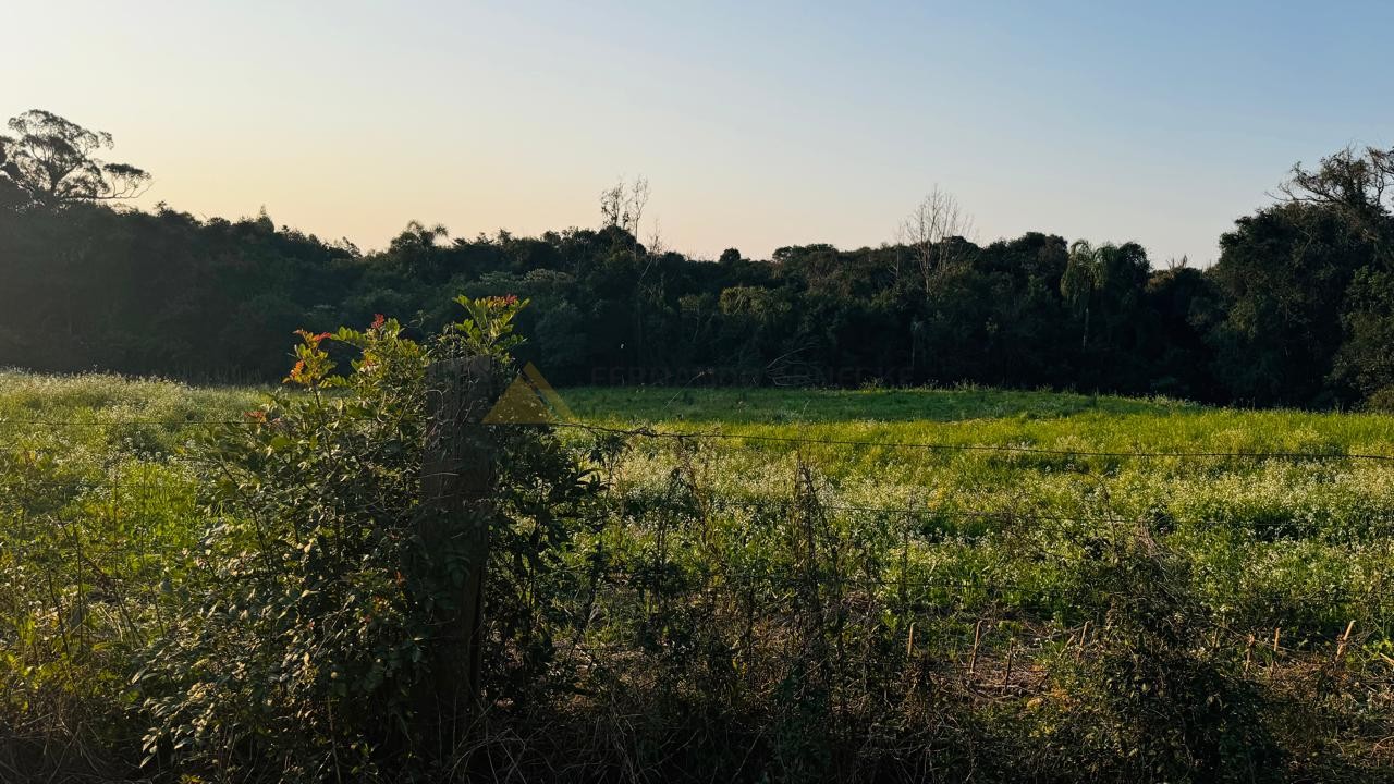 Fazenda à venda, 10000m² - Foto 3