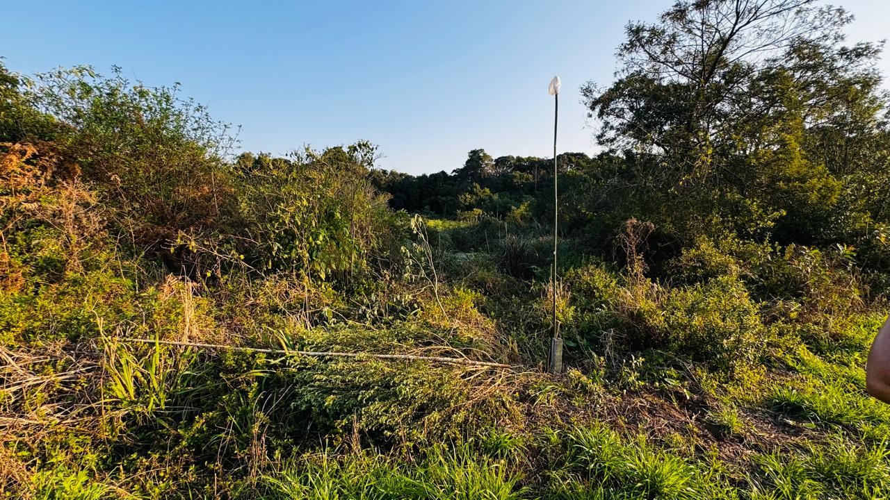 Fazenda à venda, 10000m² - Foto 6