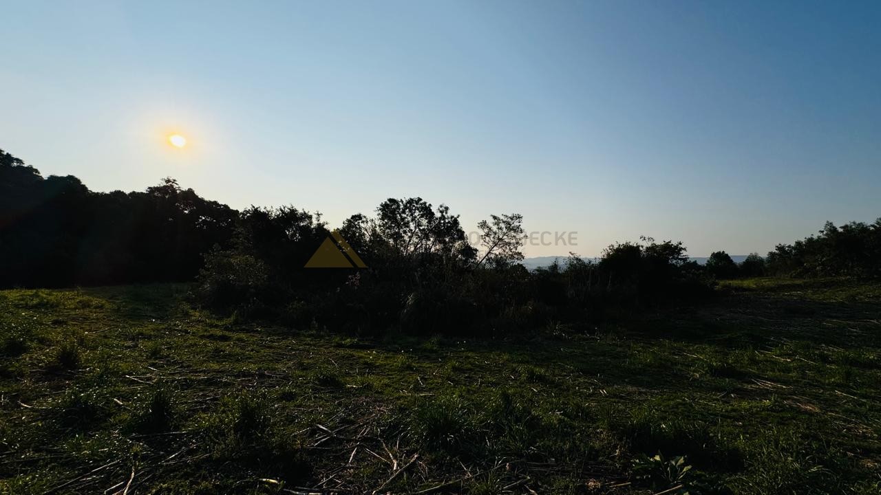 Fazenda à venda, 10000m² - Foto 7